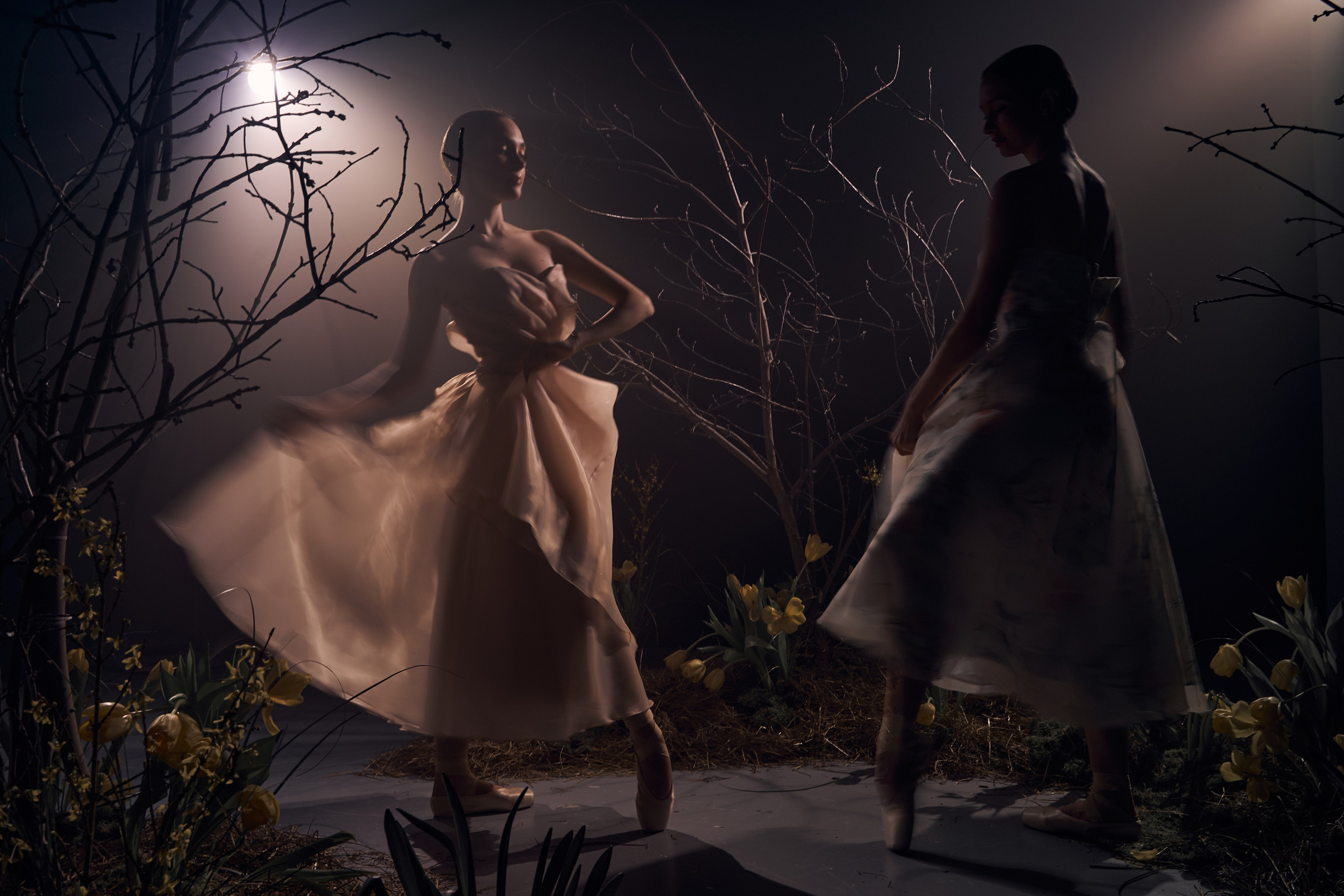 Балерины. Репортажный и свадебный фотограф Роман Яшкильдин