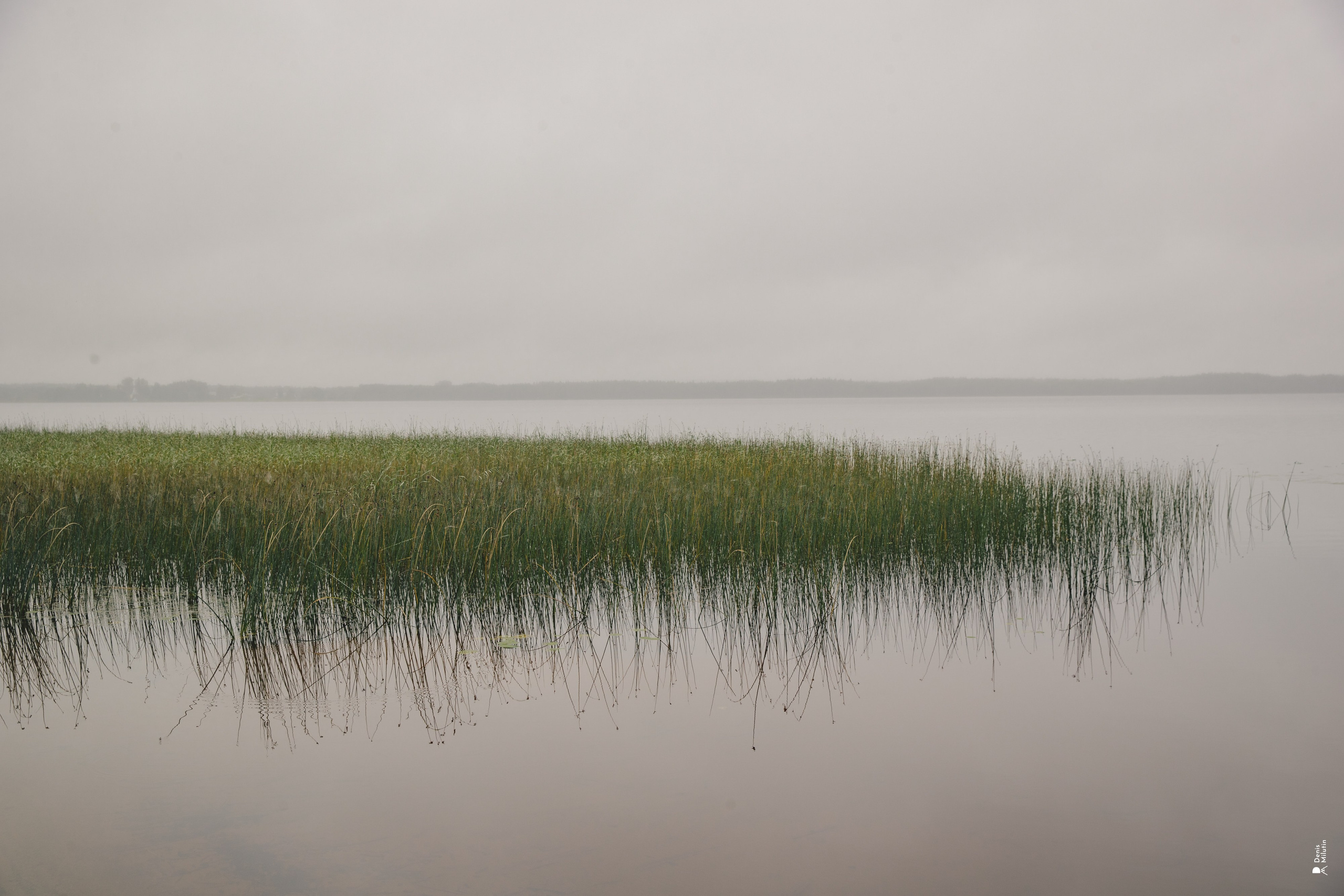 Женский Митрофаниевский скит Важеозерского мужского монастыря. Портретный фотограф Денис Милютин