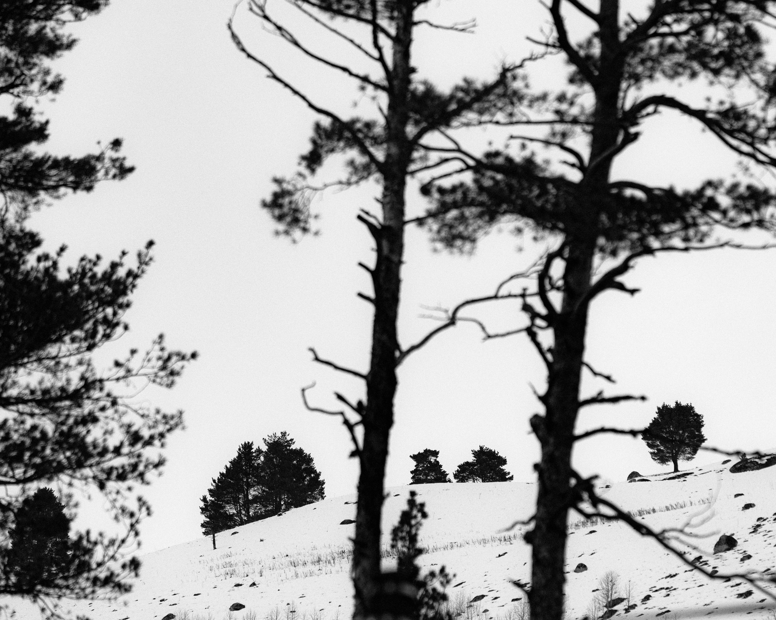 Ч.б. фотографии. Фотографии Лены Соколовой