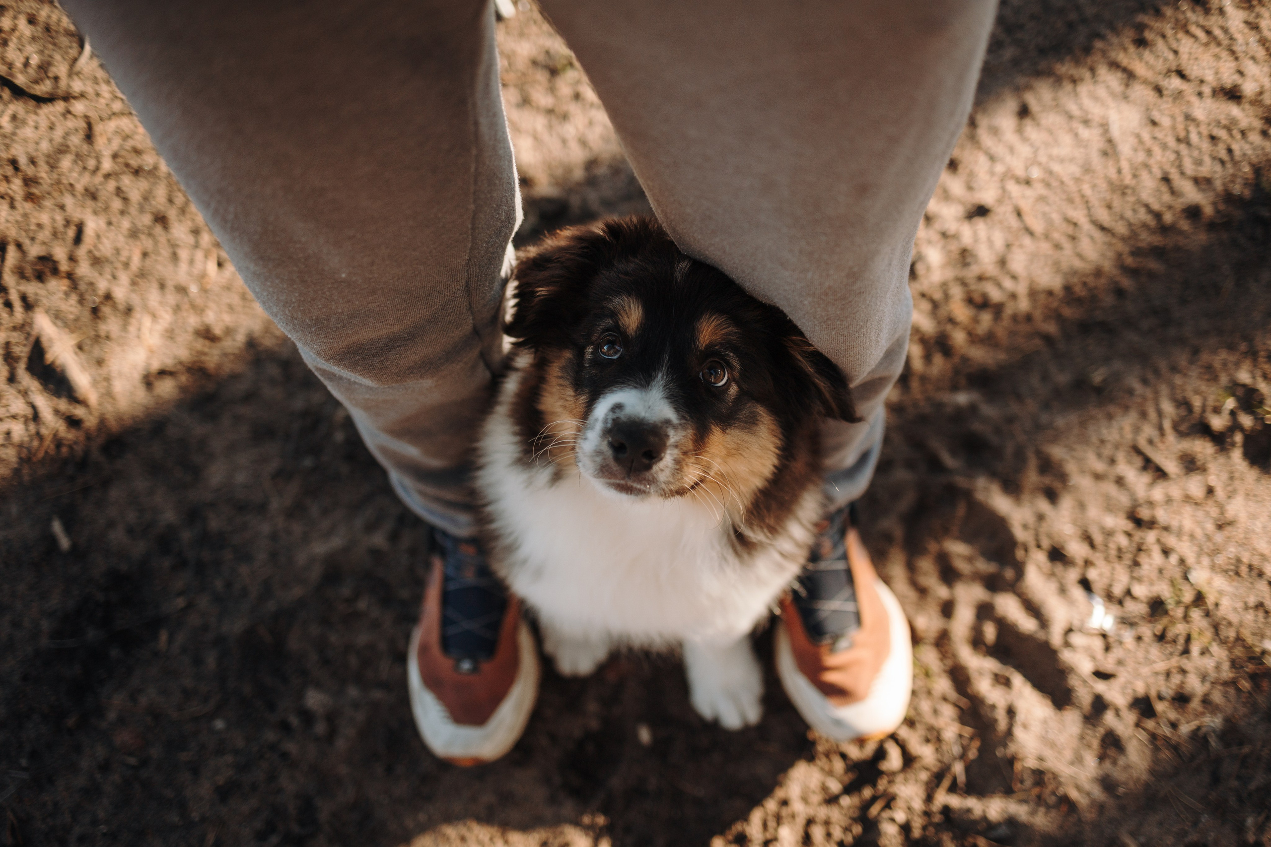 Ира и Шмель. Фотограф — Анималист | Санкт-Петербург