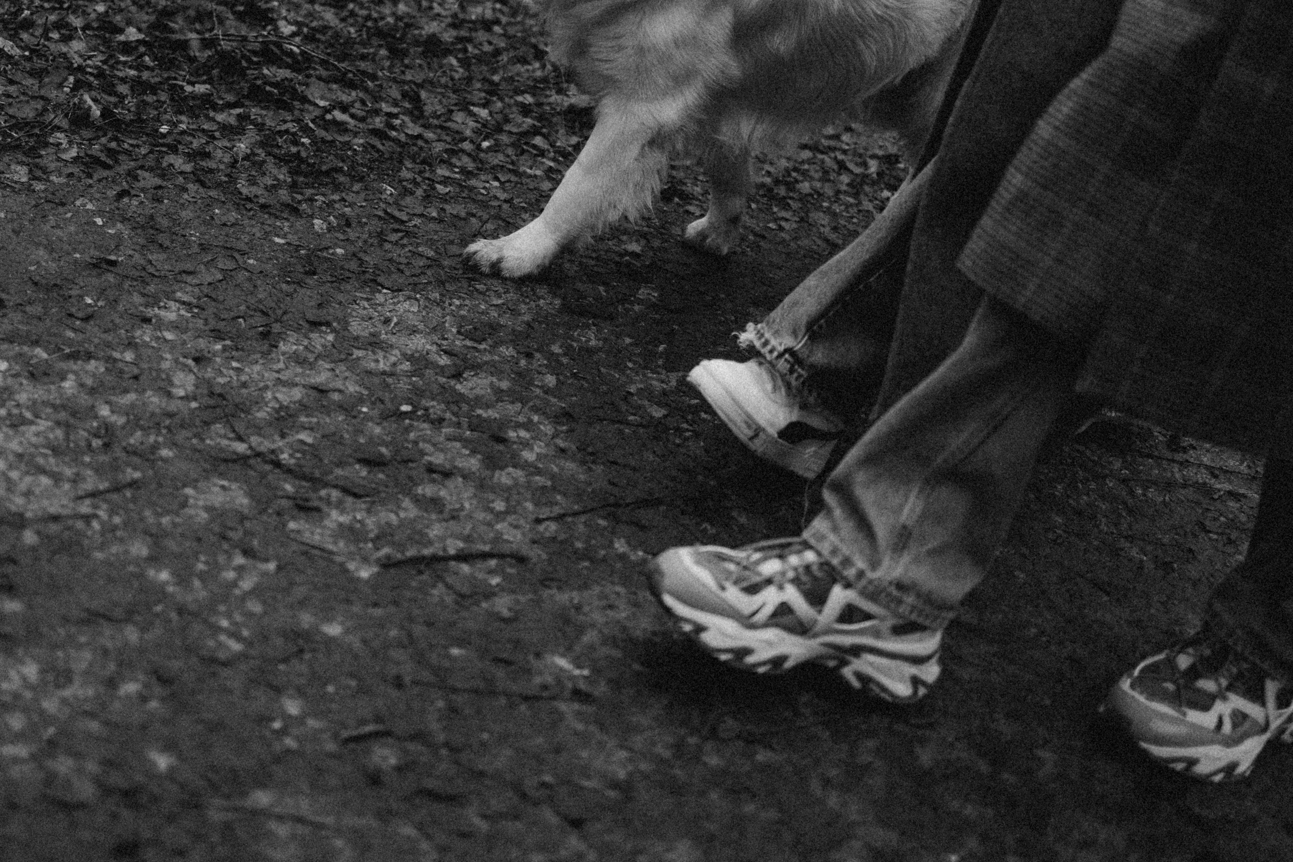 Лаки и его семья. Фотограф — Анималист | Санкт-Петербург