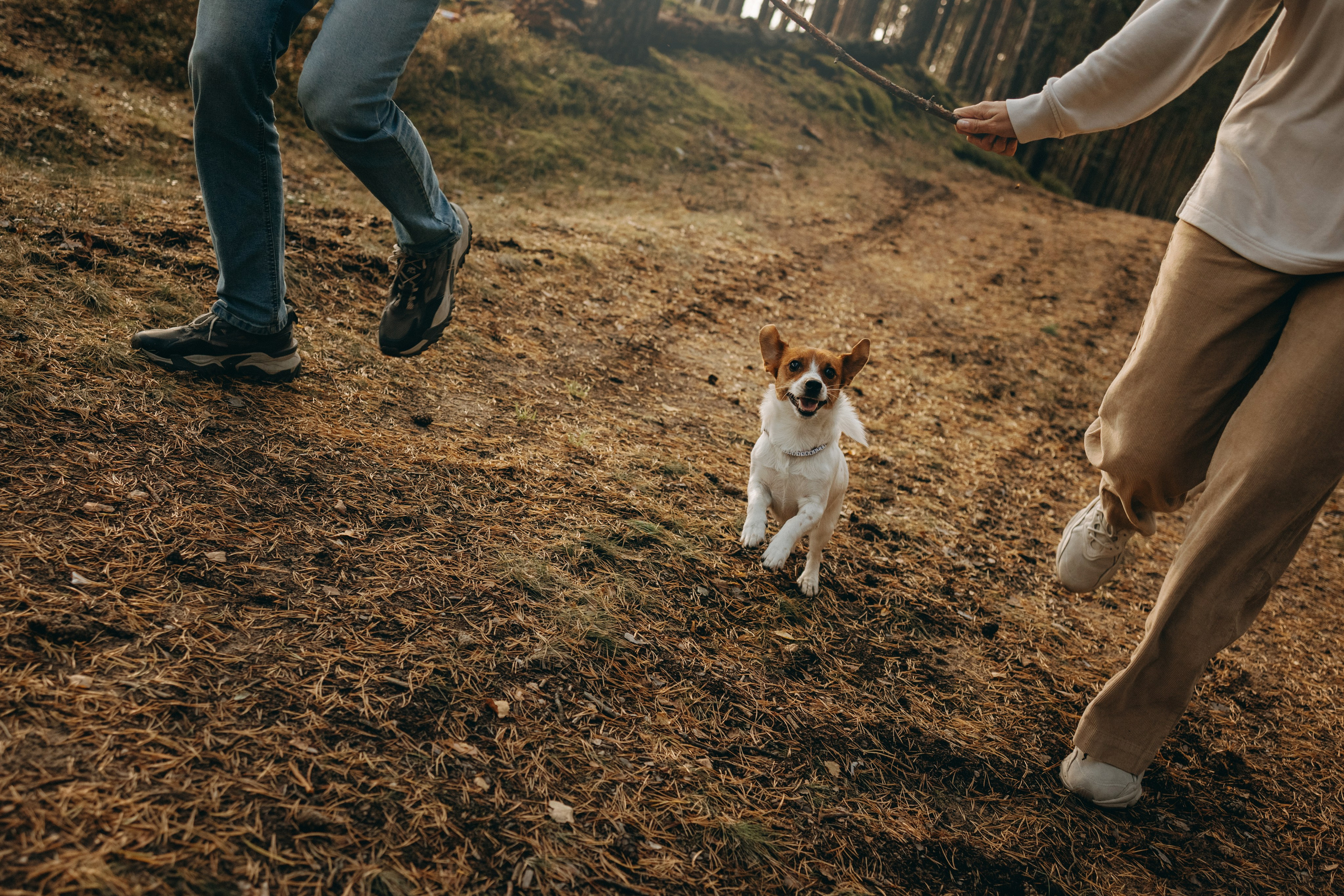 Лея и ее семья. Фотограф — Анималист | Санкт-Петербург