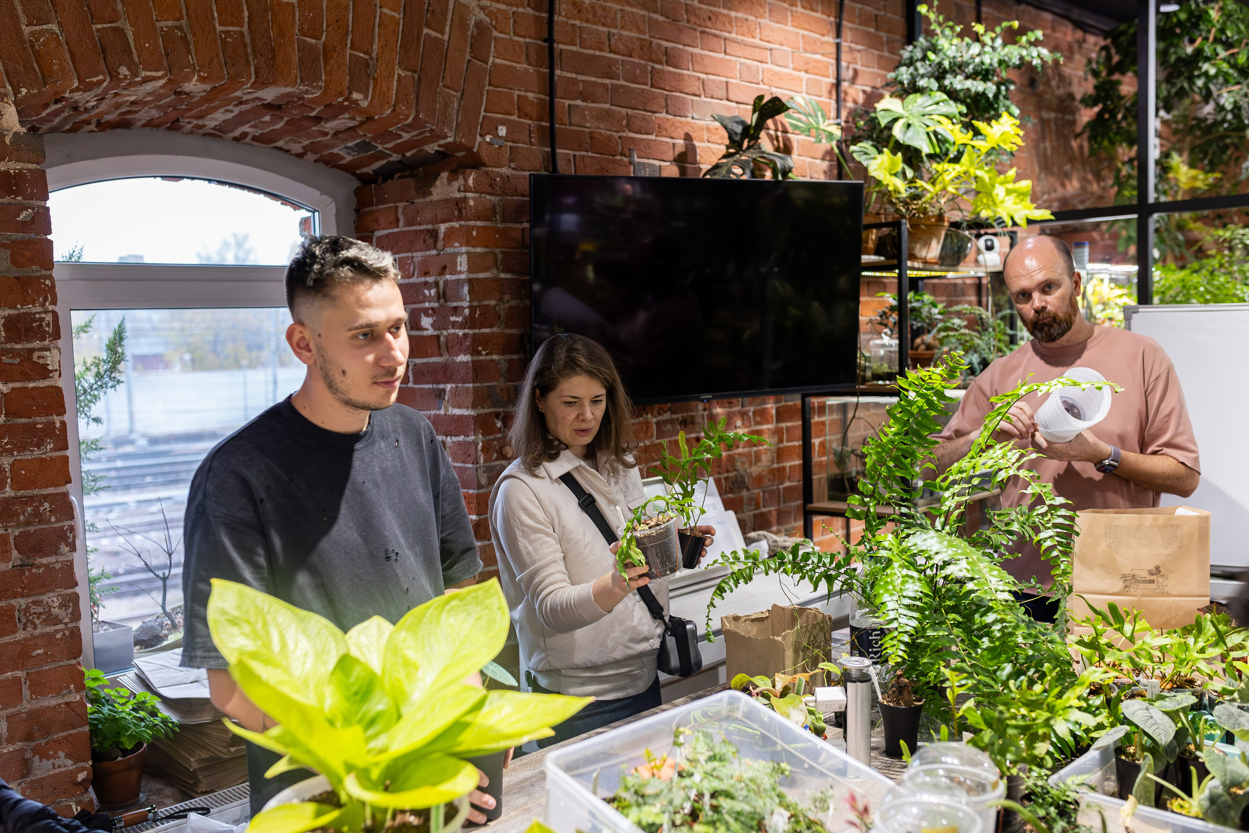 GreenRare ярмарка 2024. Александра Куликова фотограф, Москва