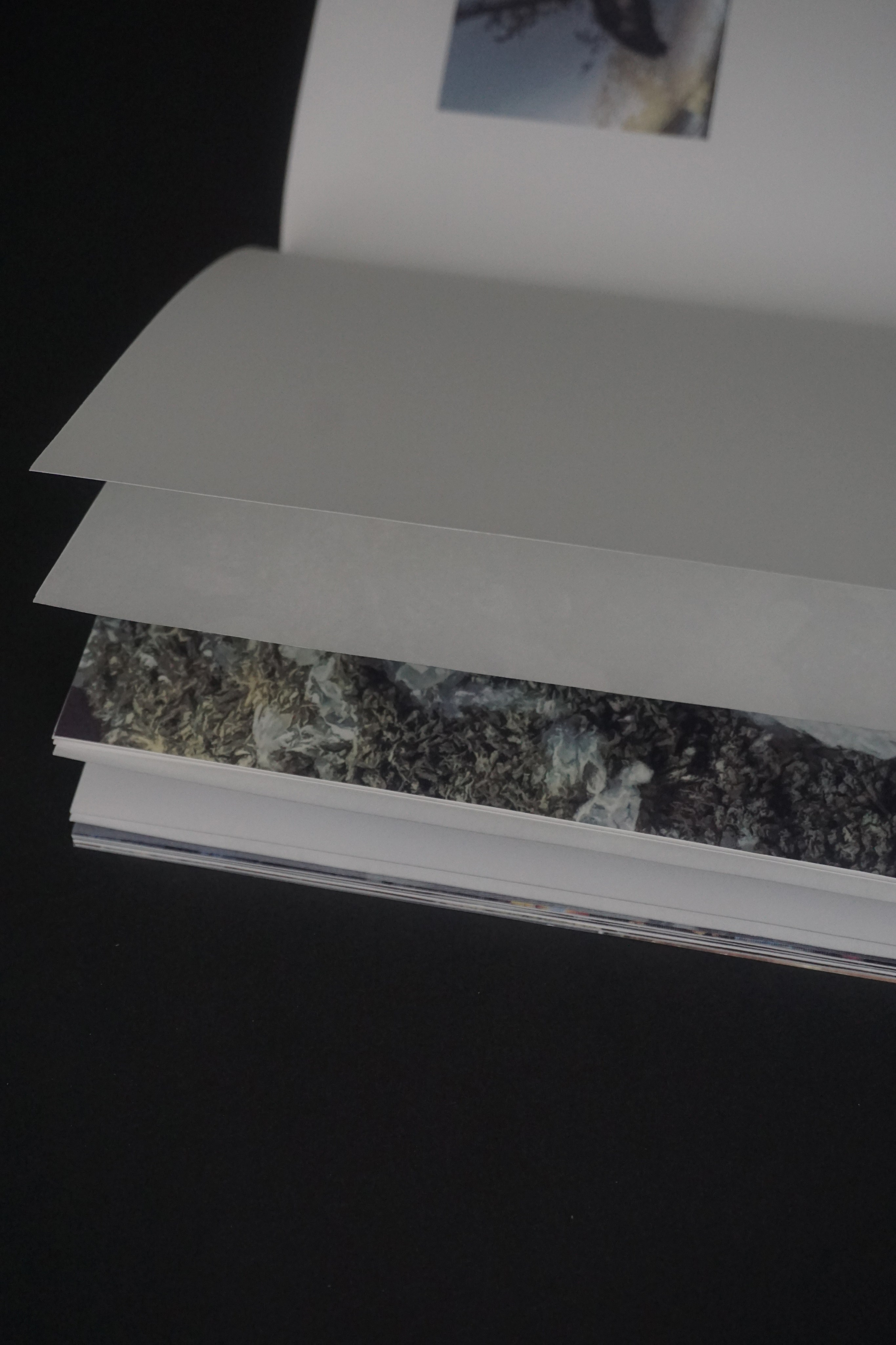 Overview. Anastasia Maryasova