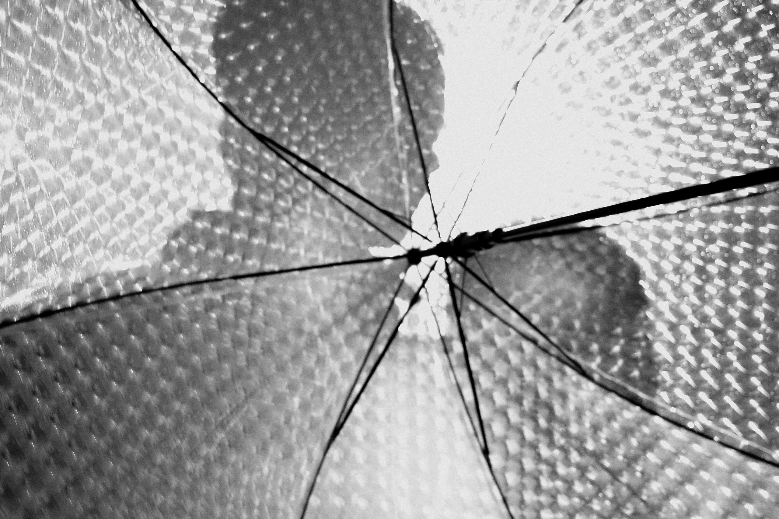 Александр и Мария. Свадебный фотограф Евгения Черепанова