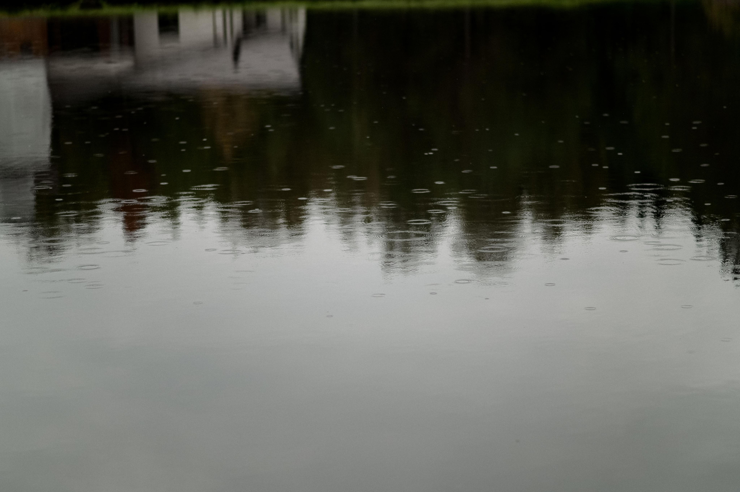 Александр и Мария. Свадебный фотограф Евгения Черепанова