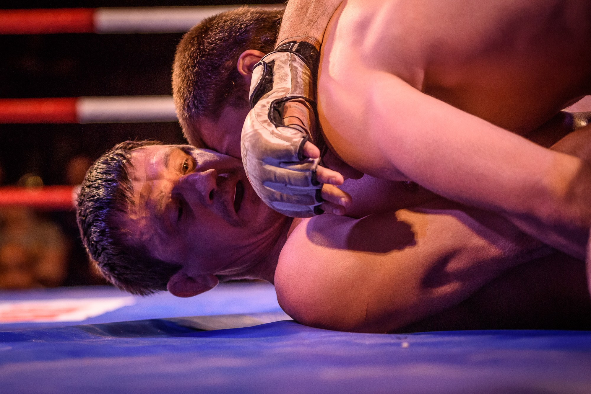 «Сталинградская доблесть». Репортажный и концертный фотограф в Волгограде Павел Панько