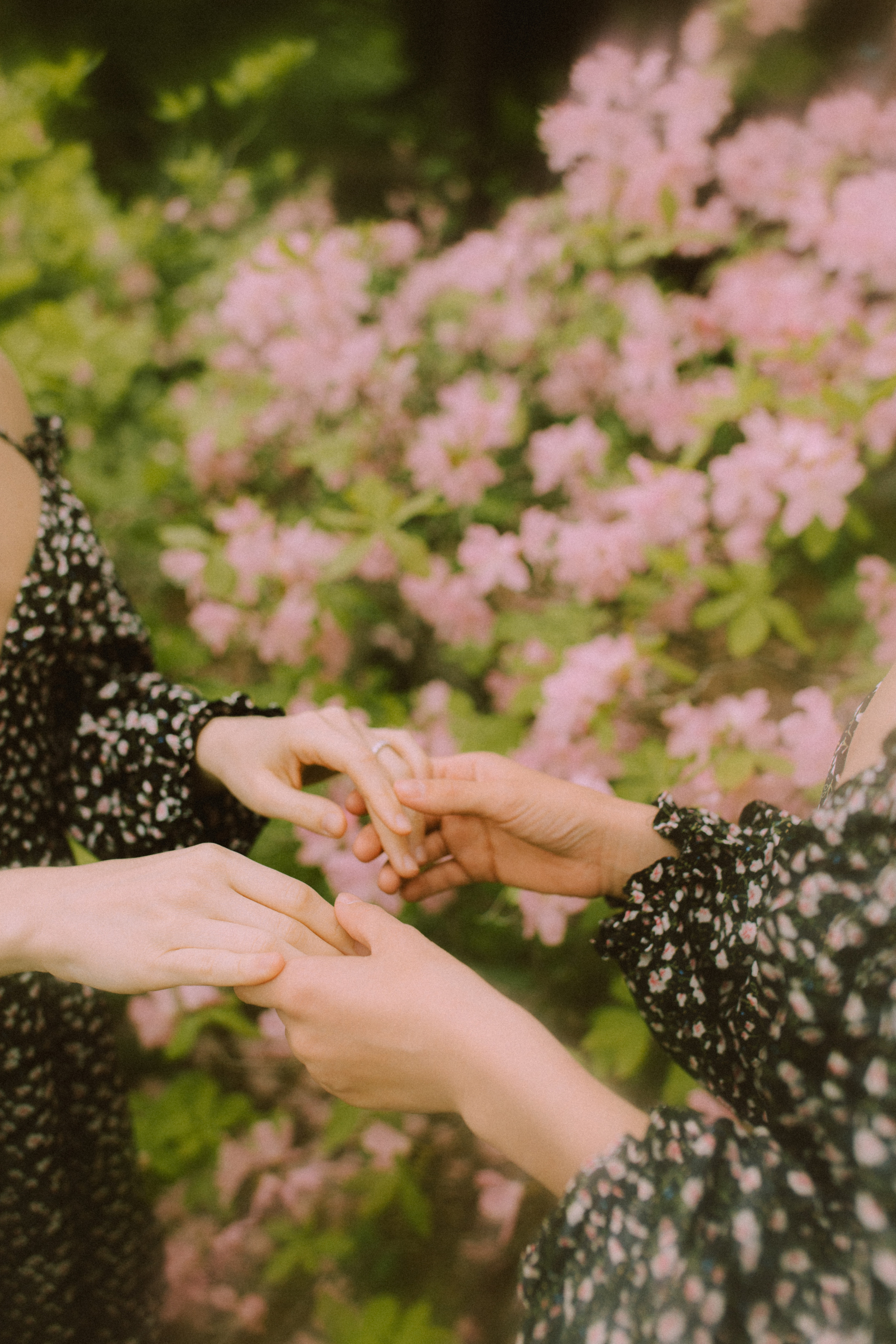 Вероника и Вика. Фотограф Ионова Анастасия, г Владивосток