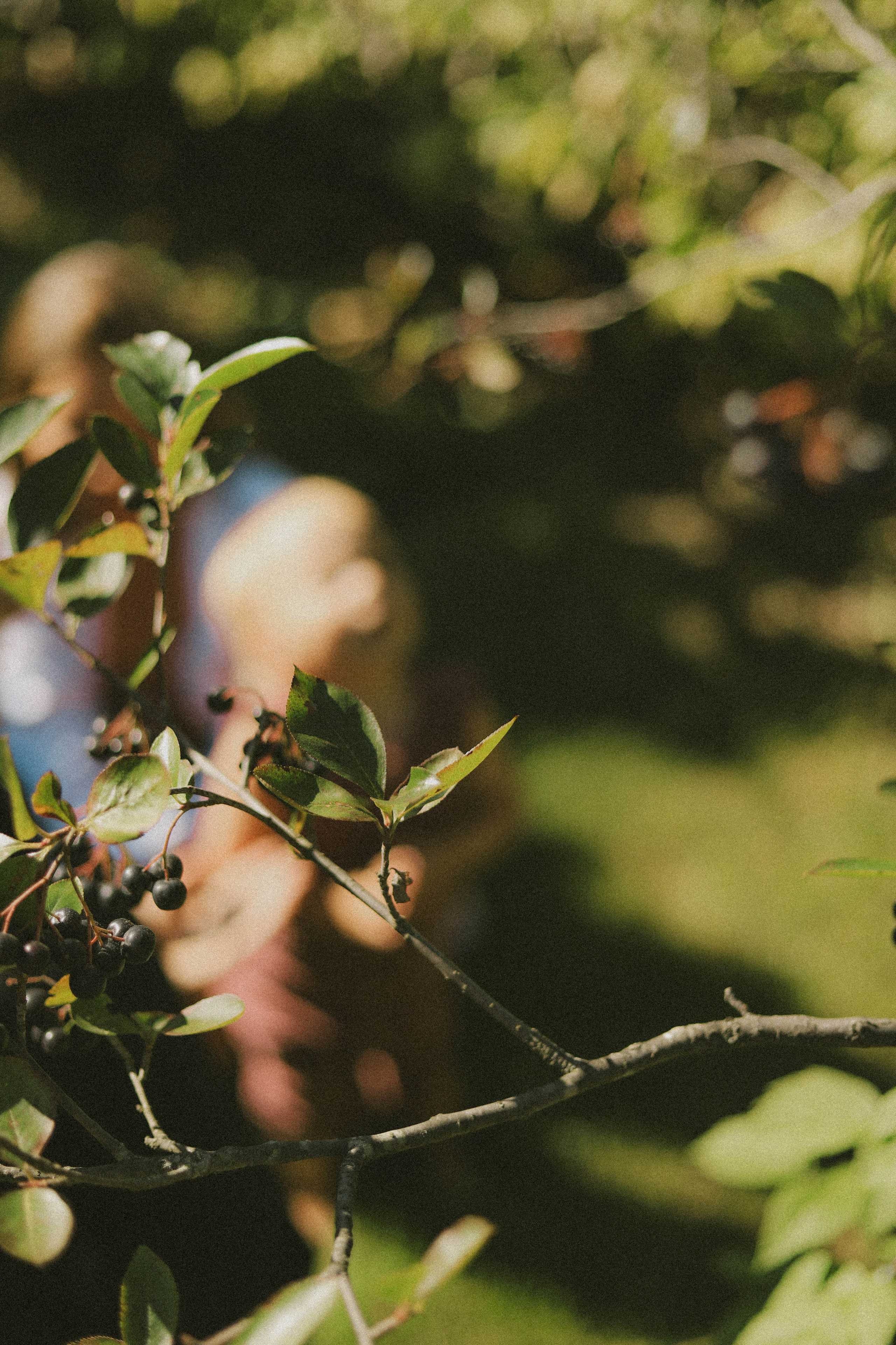 Выходные дома. Фотограф Ионова Анастасия, г Владивосток