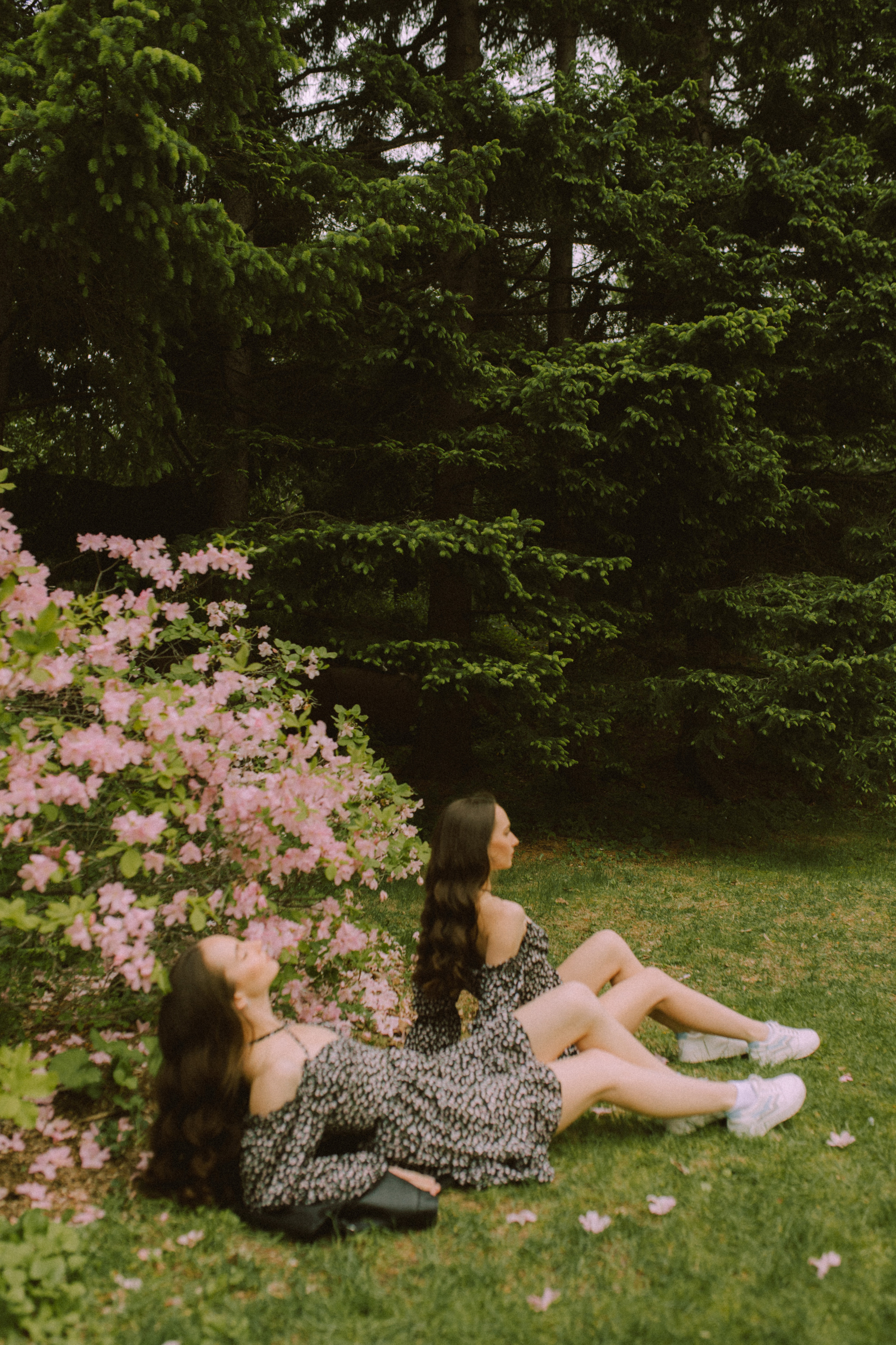 Вероника и Вика. Фотограф Ионова Анастасия, г Владивосток