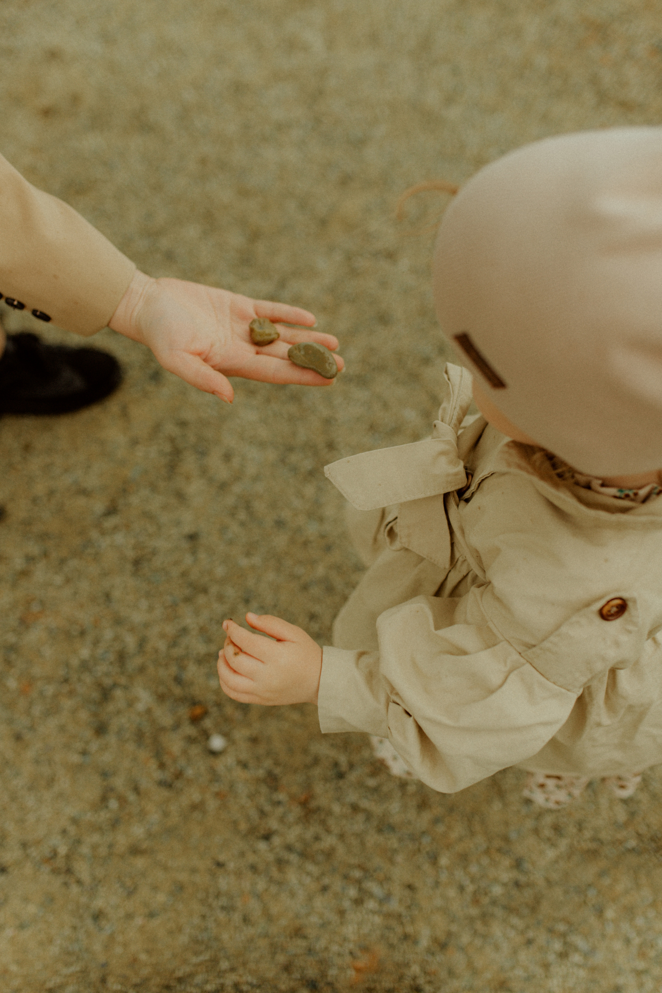 Варюше 2 года. Фотограф Ионова Анастасия, г Владивосток