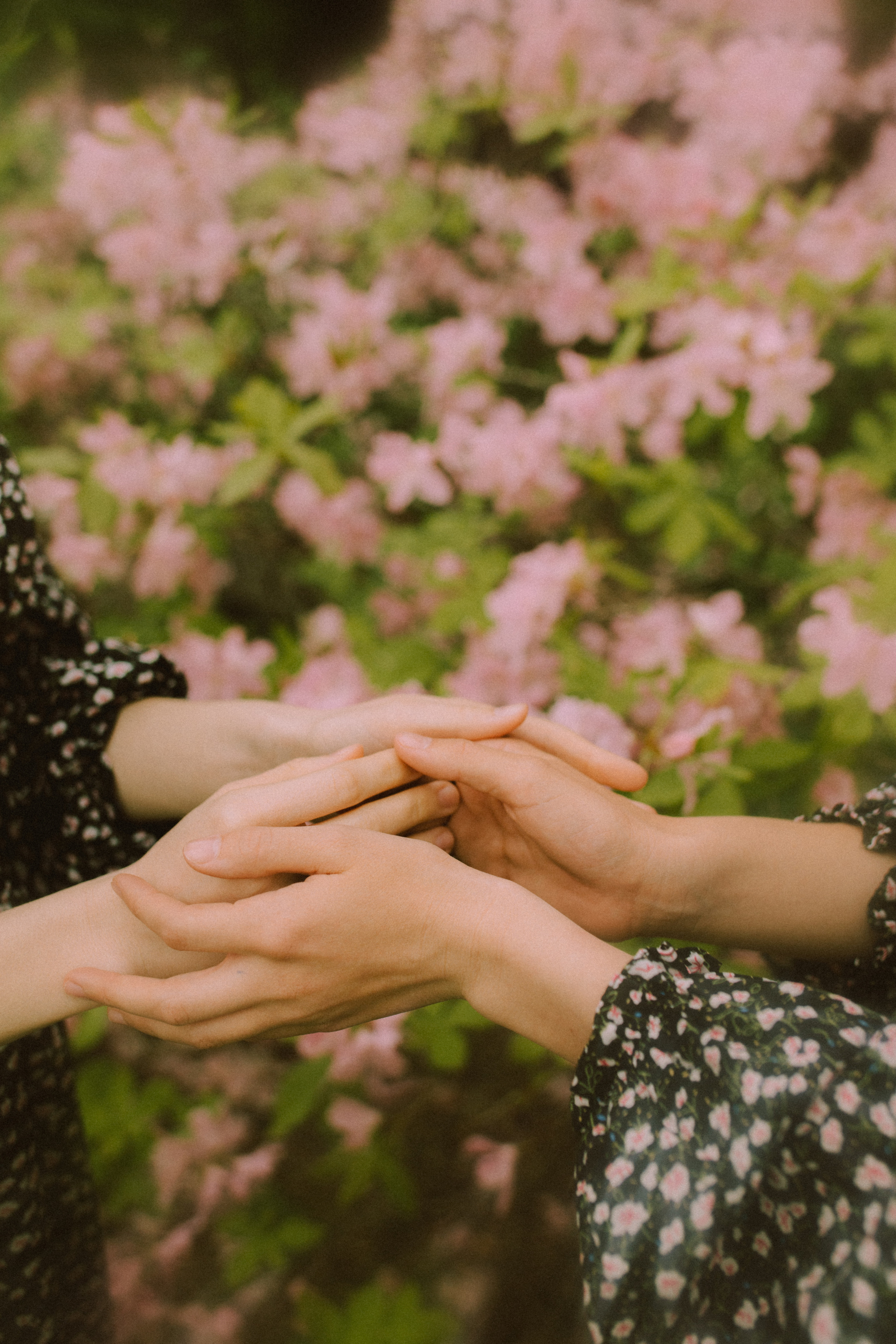 Вероника и Вика. Фотограф Ионова Анастасия, г Владивосток