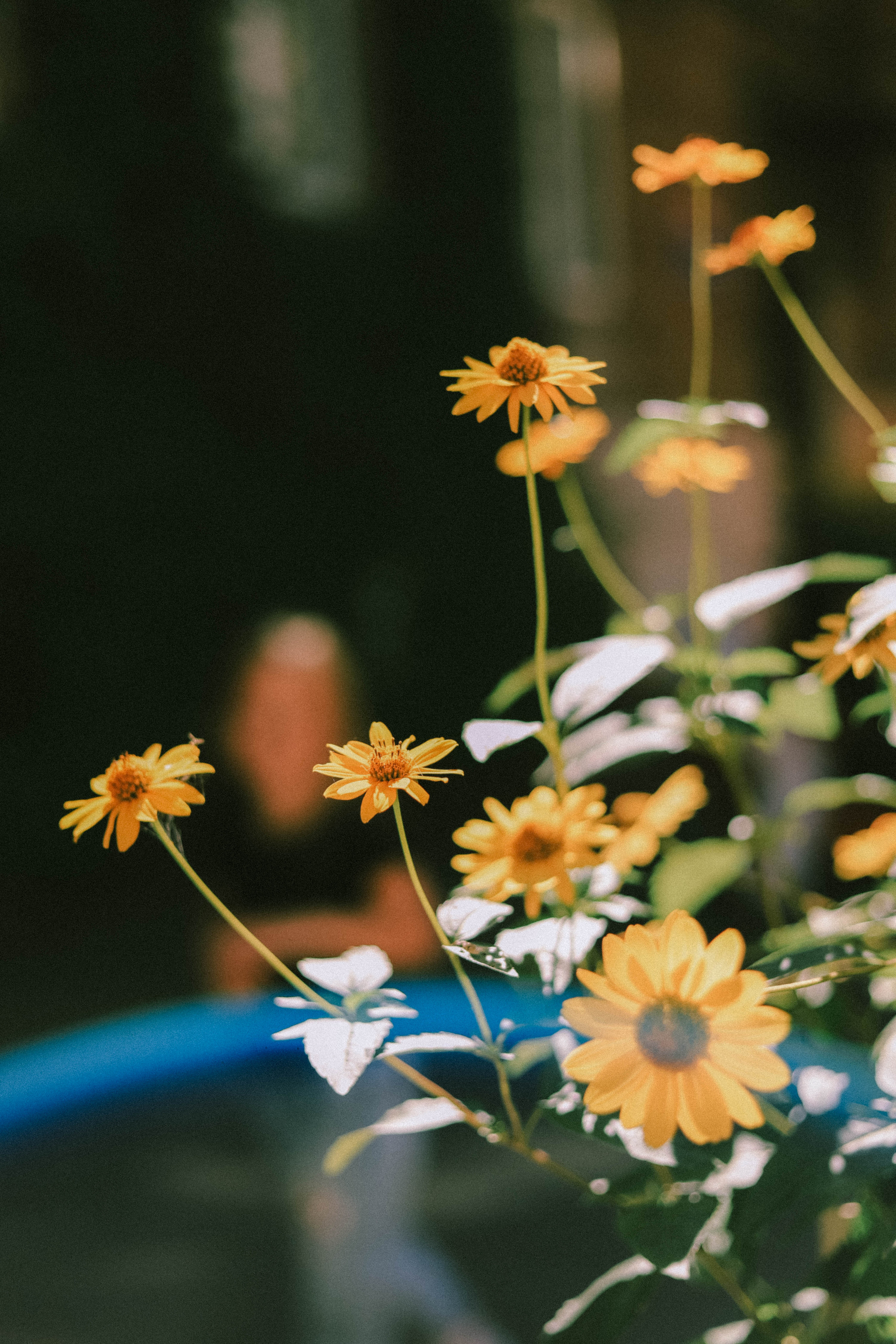 Катя и Кира. Фотограф Ионова Анастасия, г Владивосток