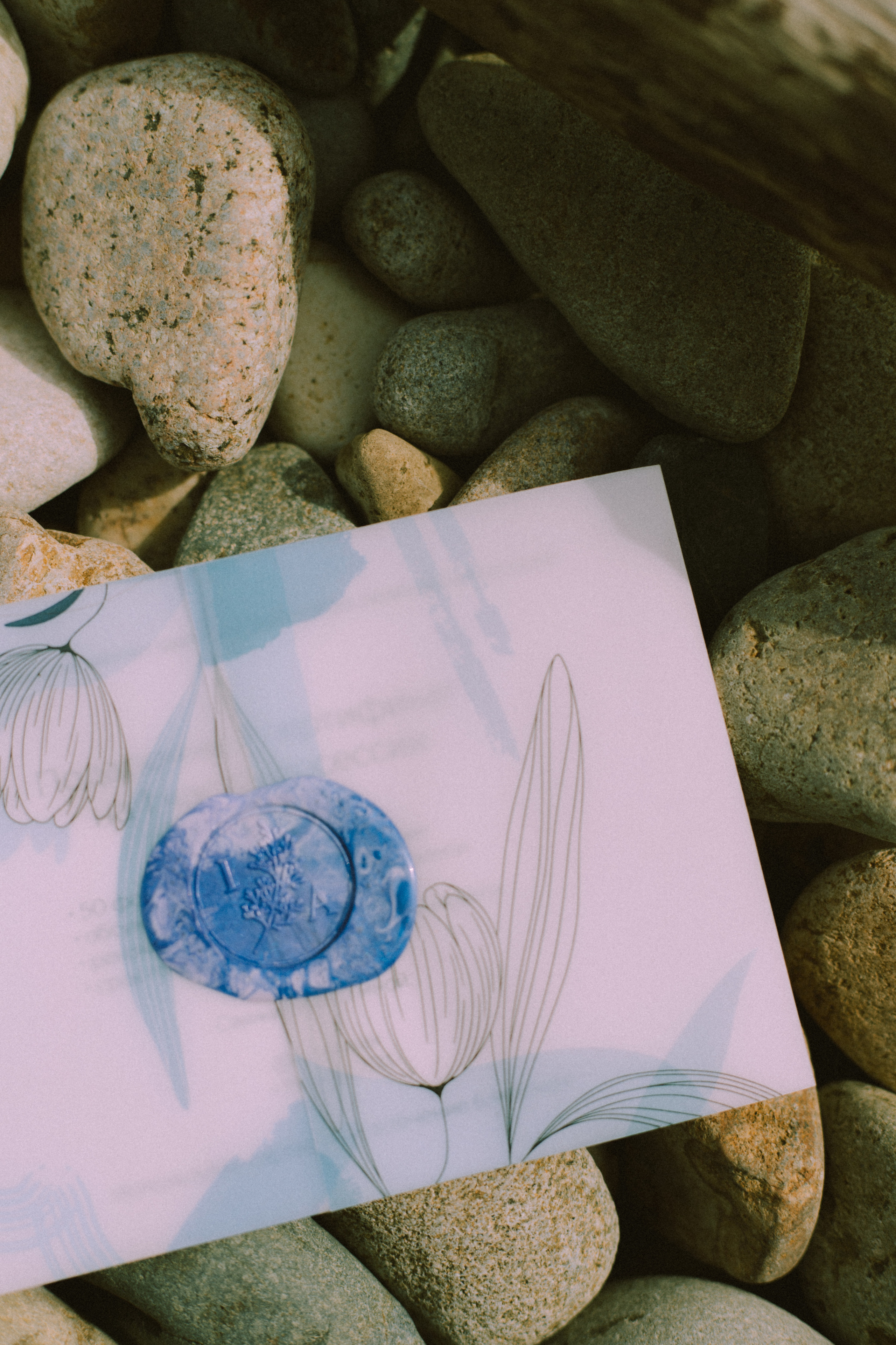 Сертификаты. Фотограф Ионова Анастасия, г Владивосток