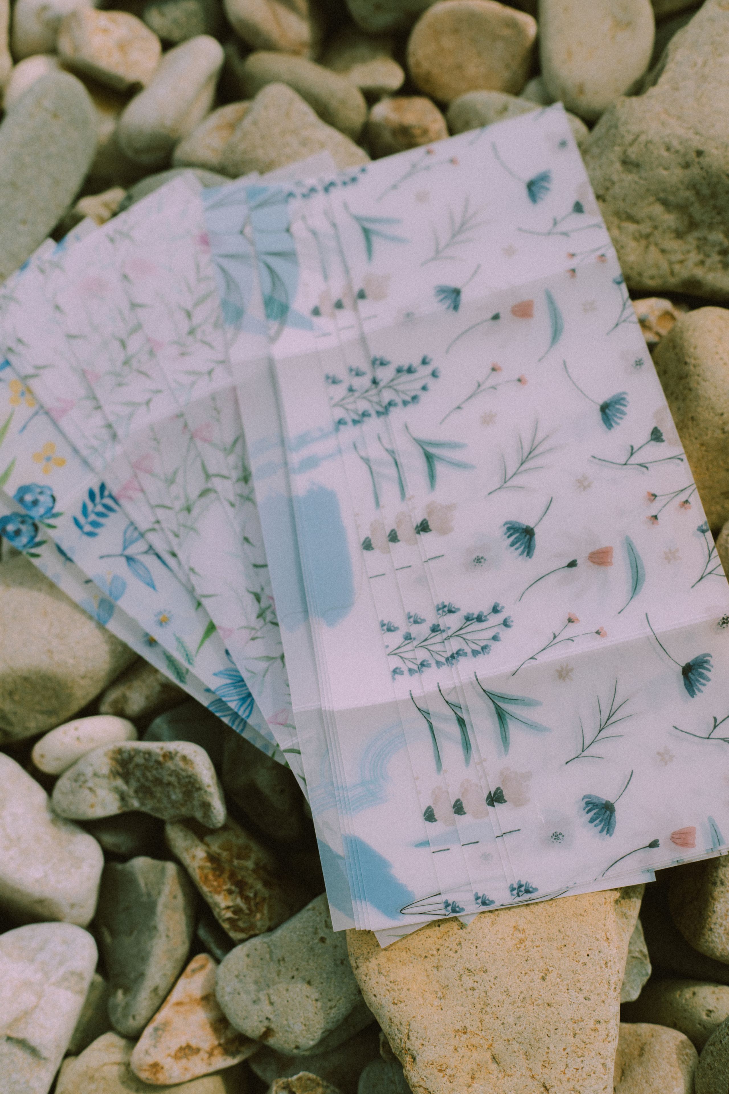 Сертификаты. Фотограф Ионова Анастасия, г Владивосток