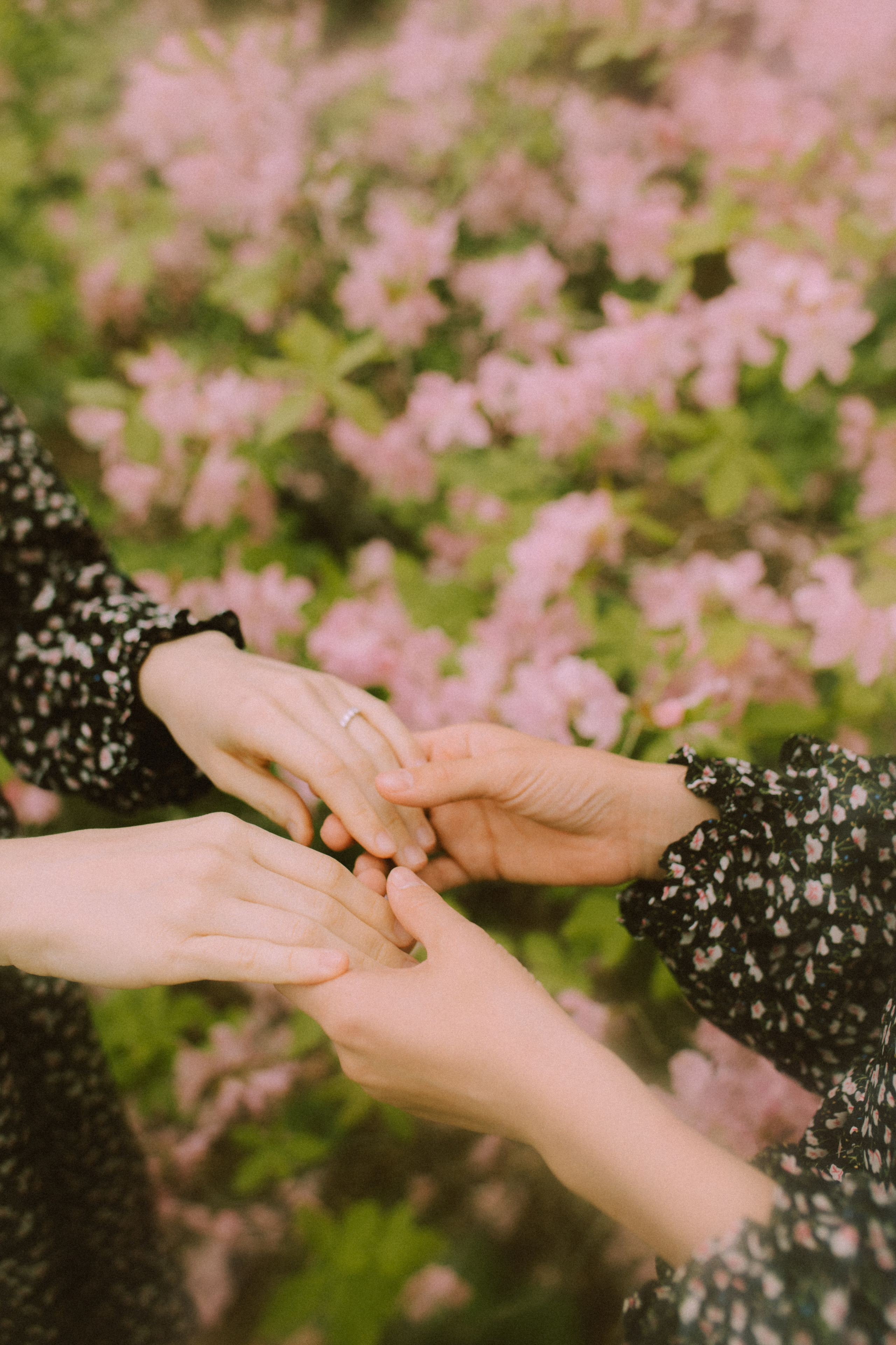 Вероника и Вика. Фотограф Ионова Анастасия, г Владивосток