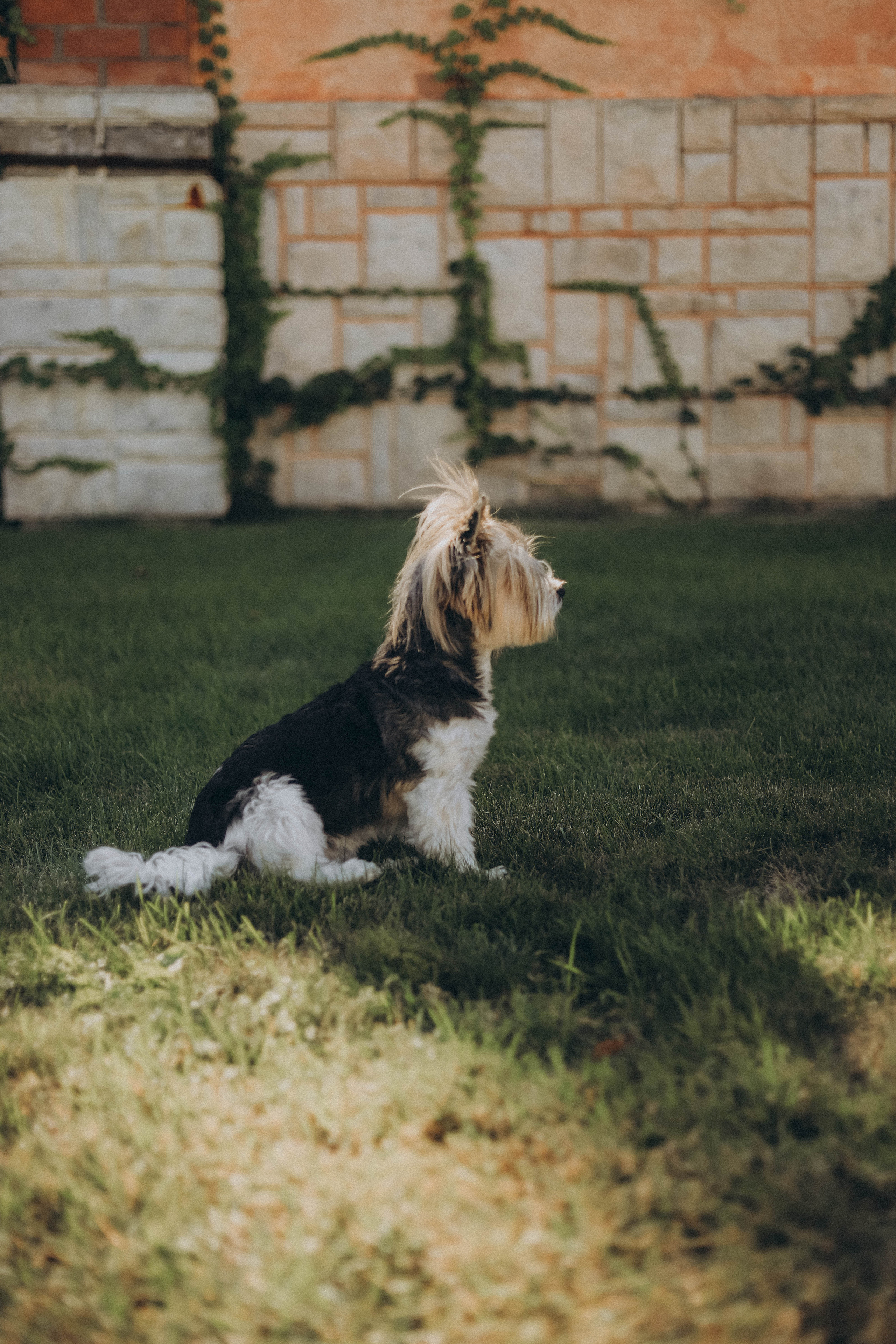 Выходные дома. Фотограф Ионова Анастасия, г Владивосток