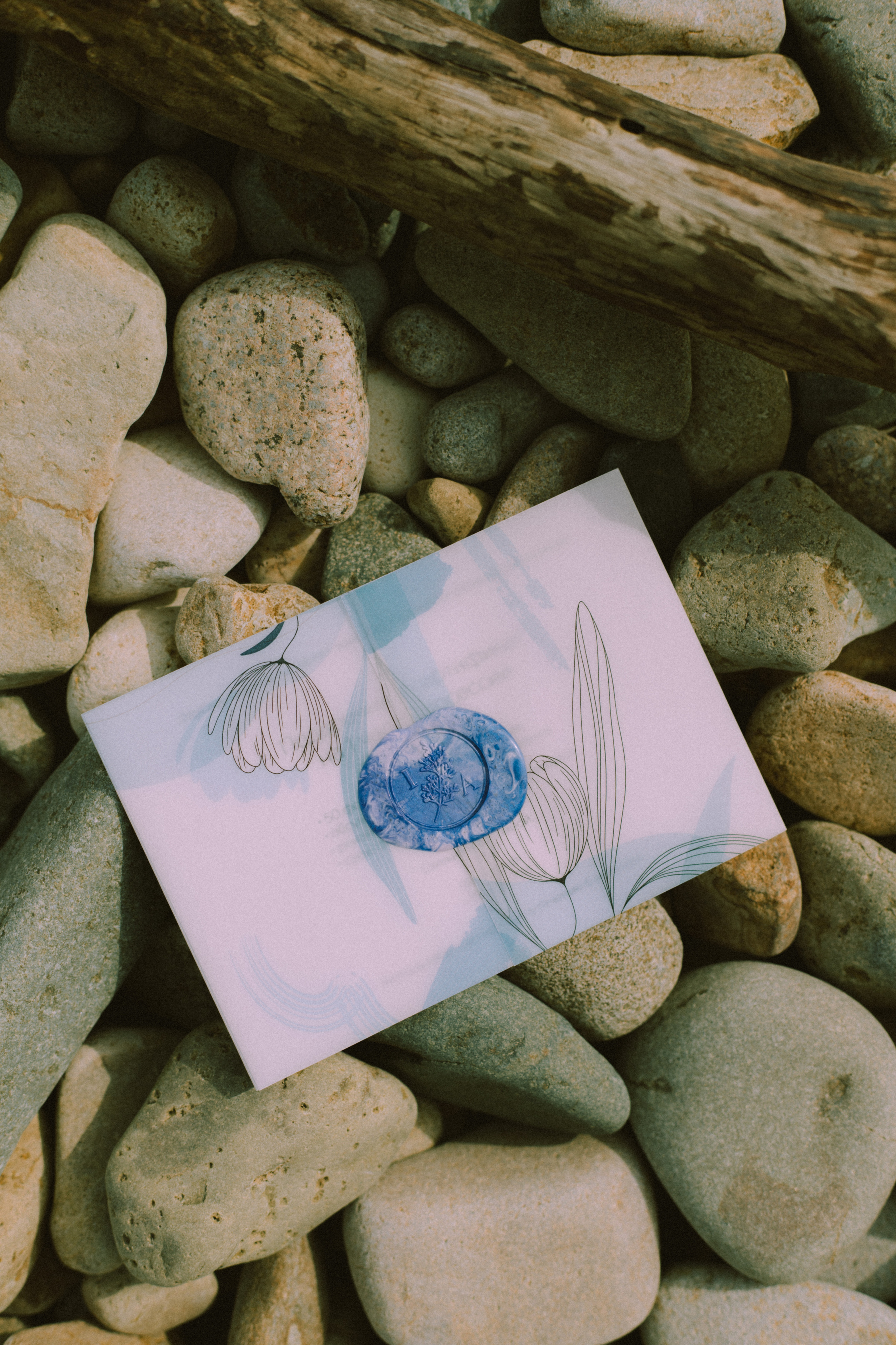 Сертификаты. Фотограф Ионова Анастасия, г Владивосток