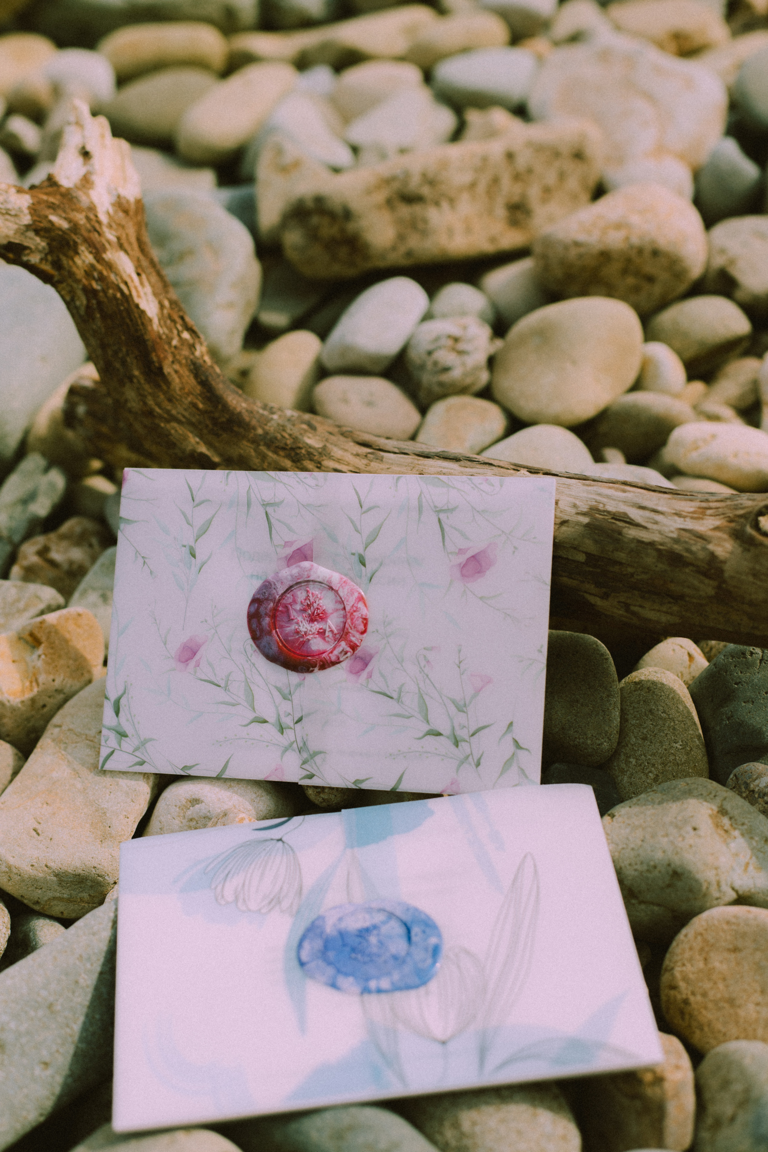 Сертификаты. Фотограф Ионова Анастасия, г Владивосток