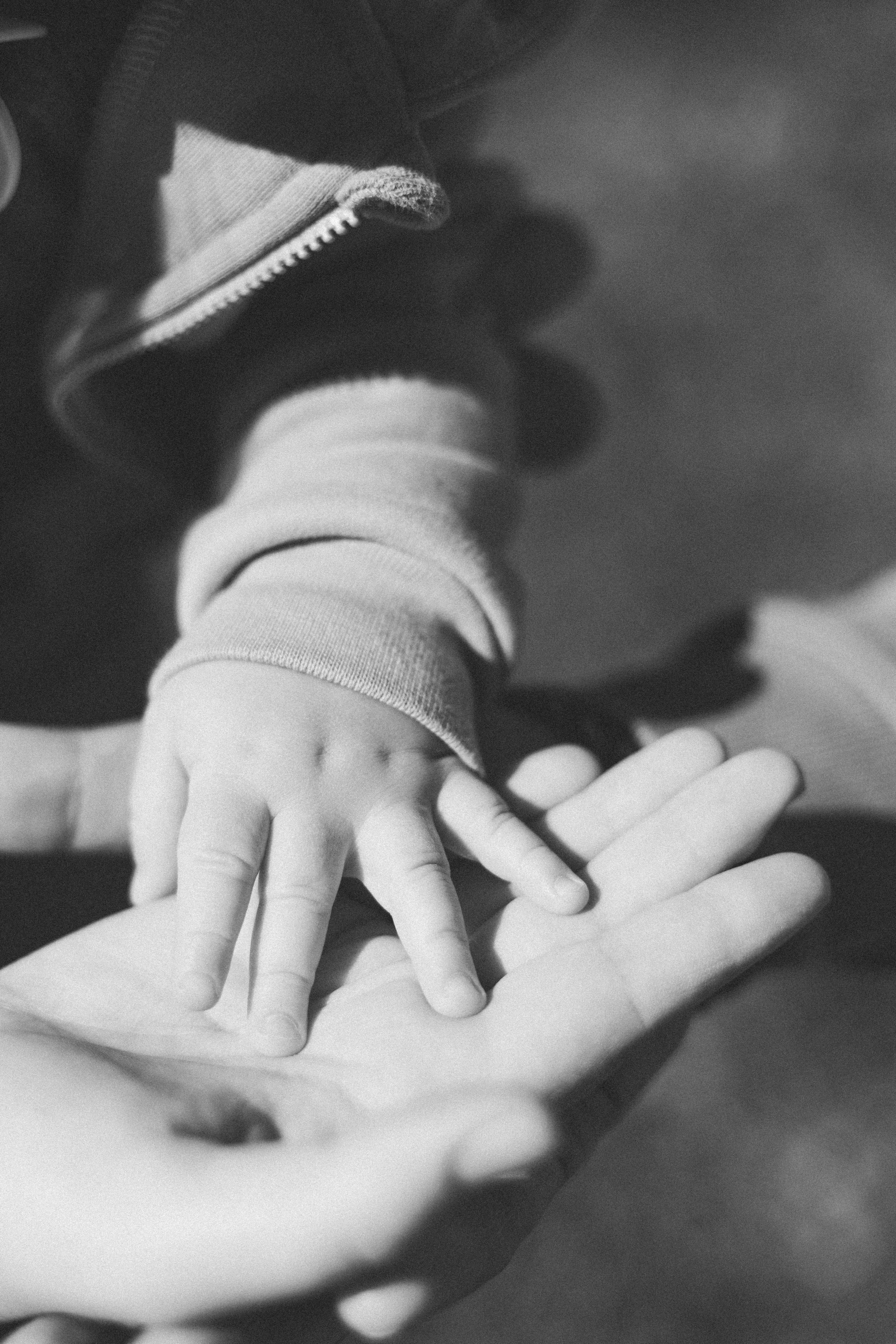 Твоя первая осень. Фотограф Ионова Анастасия, г Владивосток