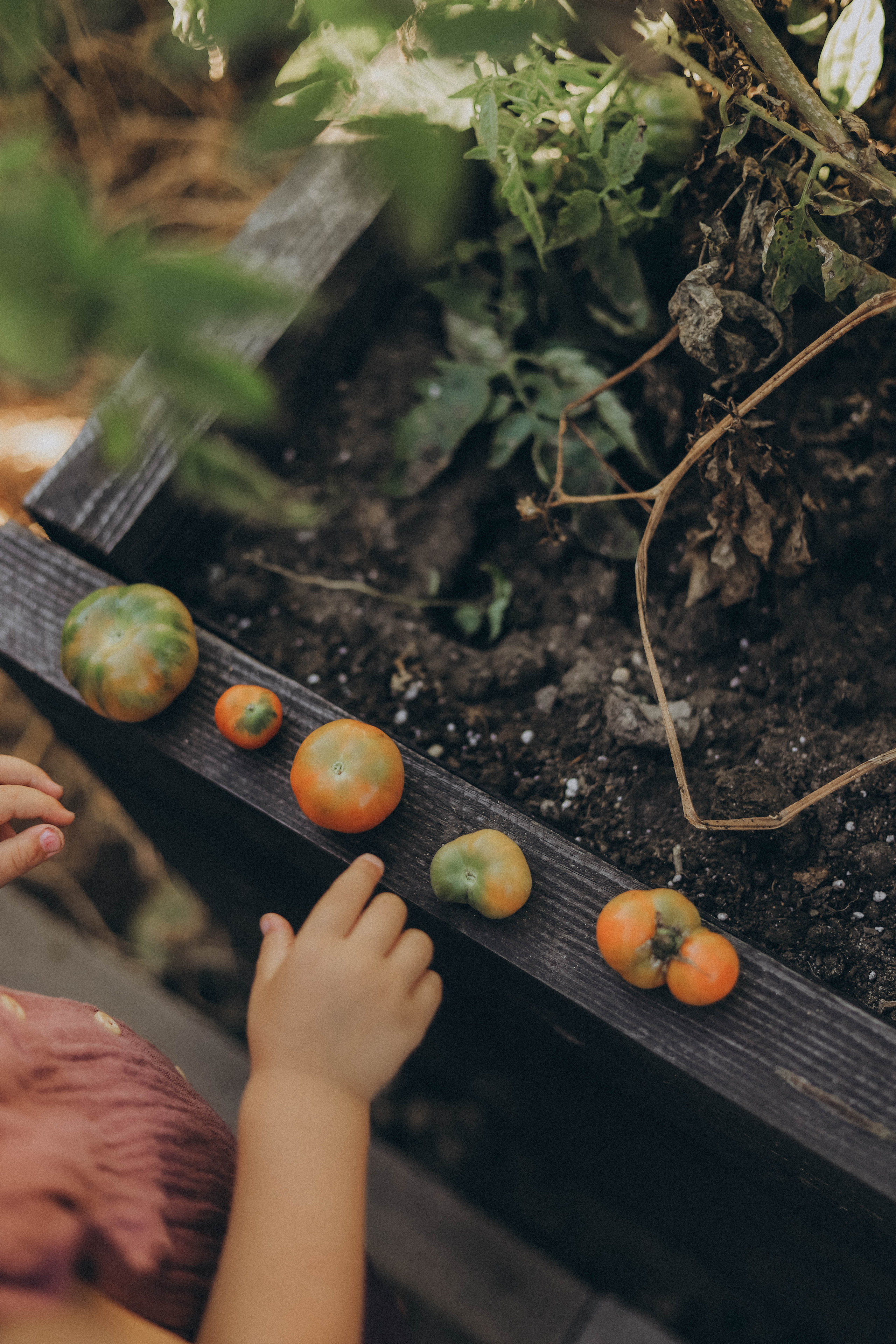 Выходные дома. Фотограф Ионова Анастасия, г Владивосток