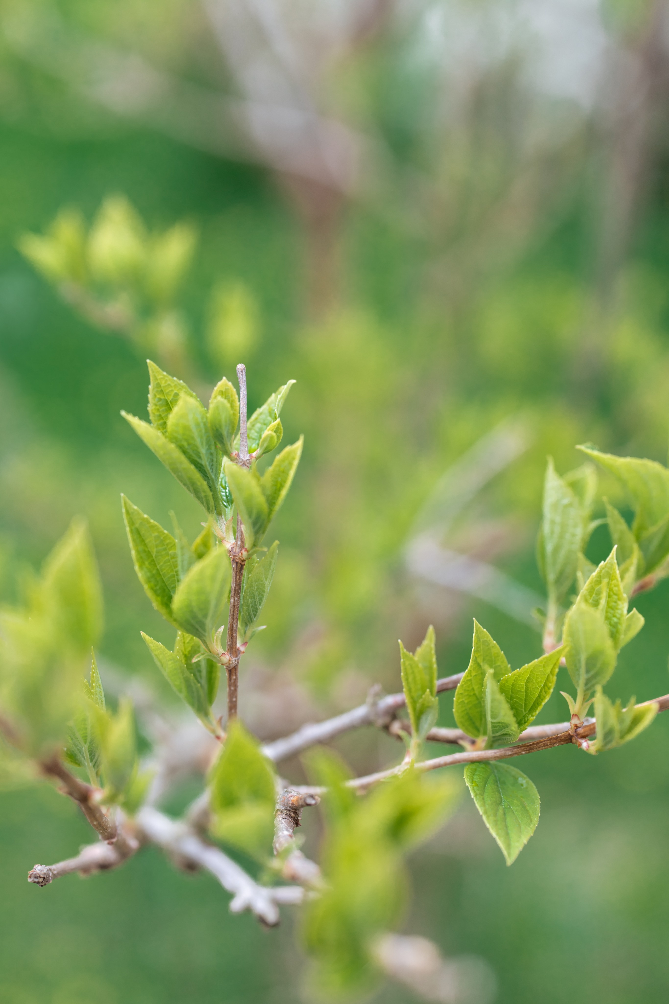 Крещение Евы. Александр Антонов. Профессиональный свадебный, репортажный фотограф в Москве, Подольске. Фото+Видео на любой праздник