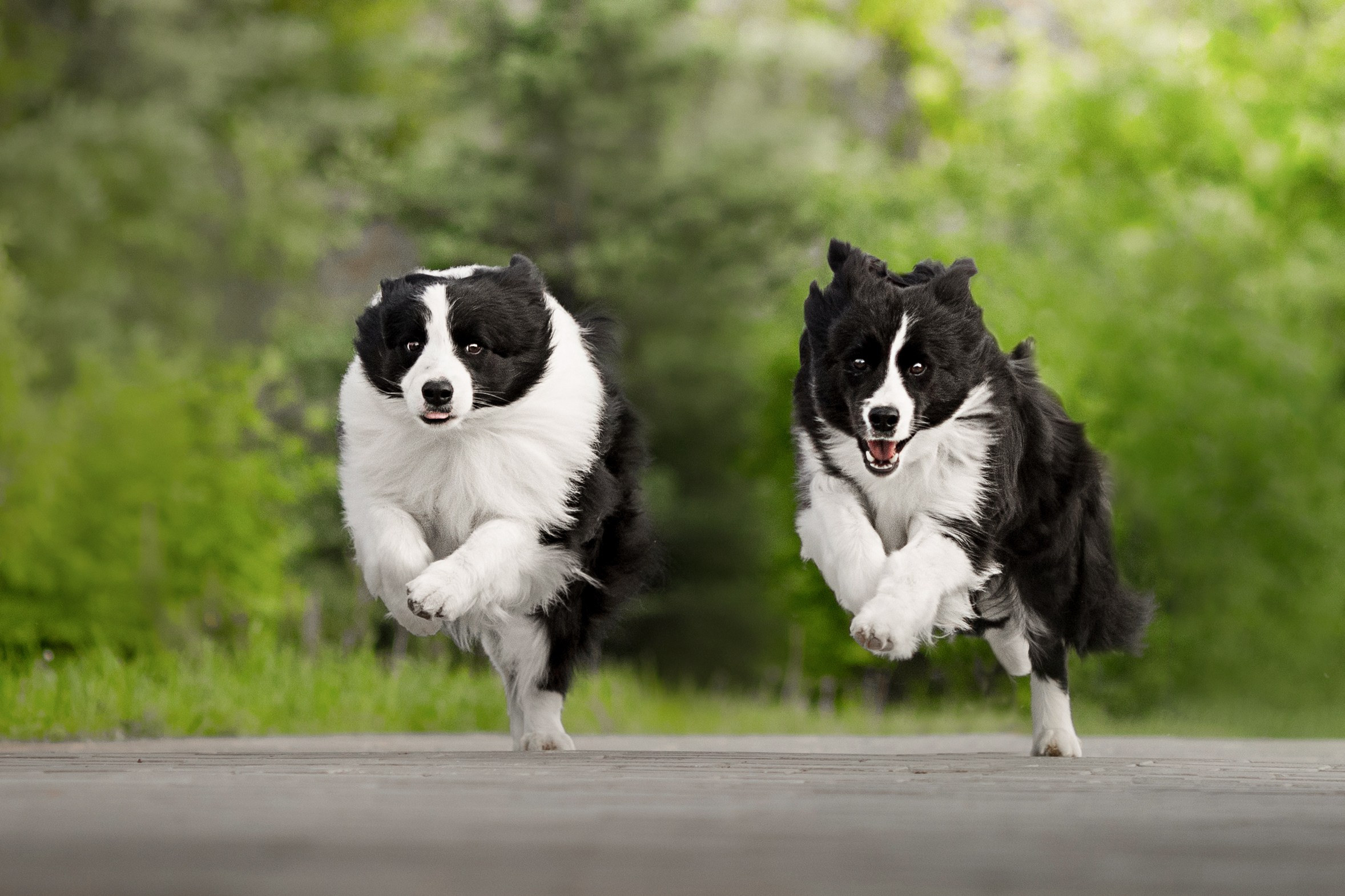 Роскошь в ростошах. О нас