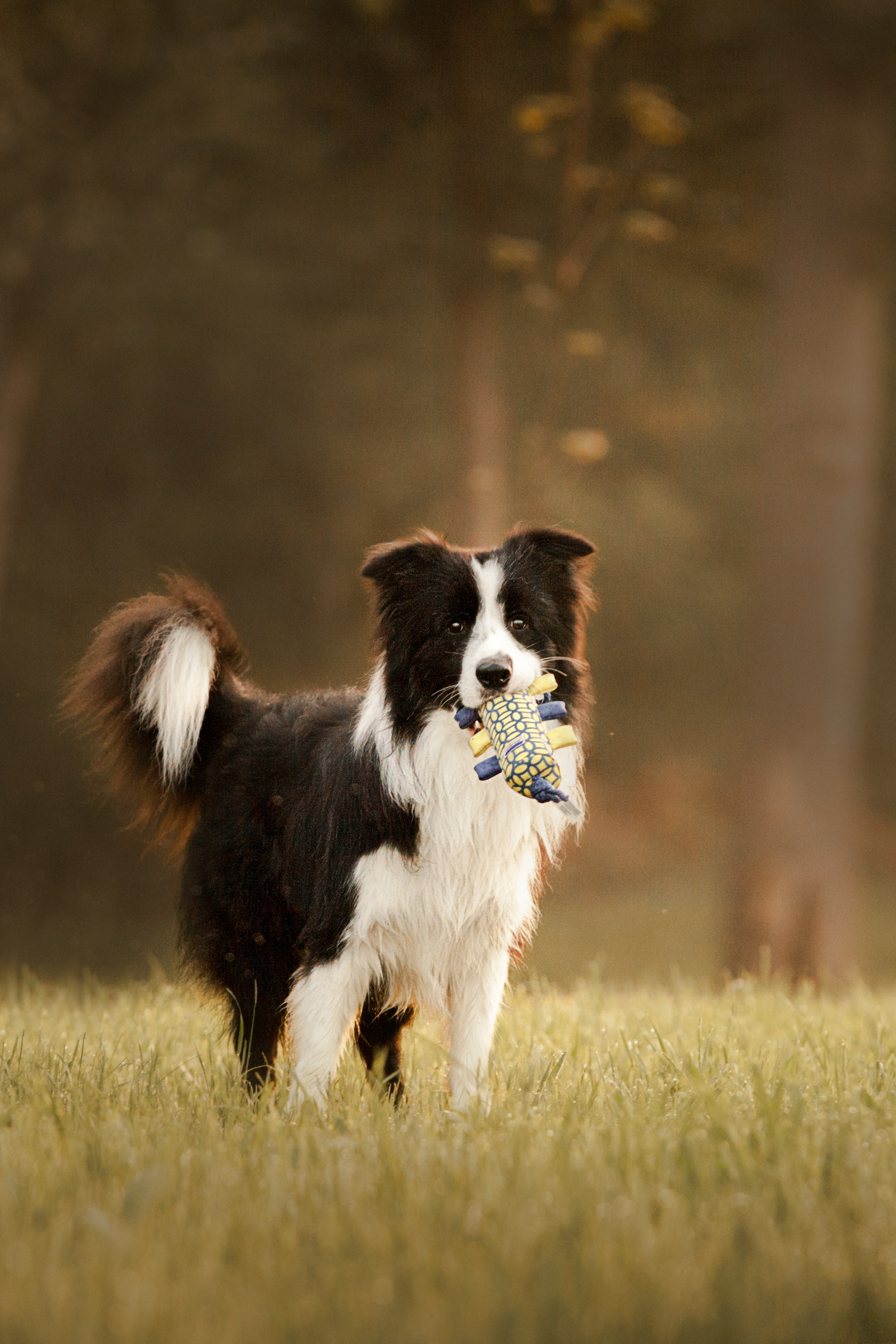 Сочный рассвет, на который решились. О нас
