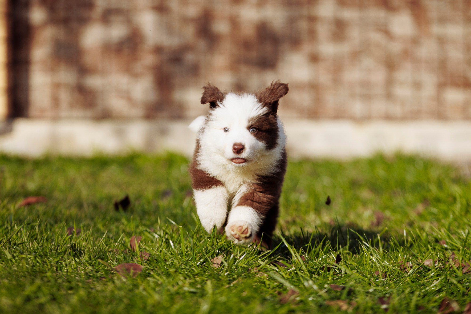 У дома с большой компанией от мала до велика. О нас