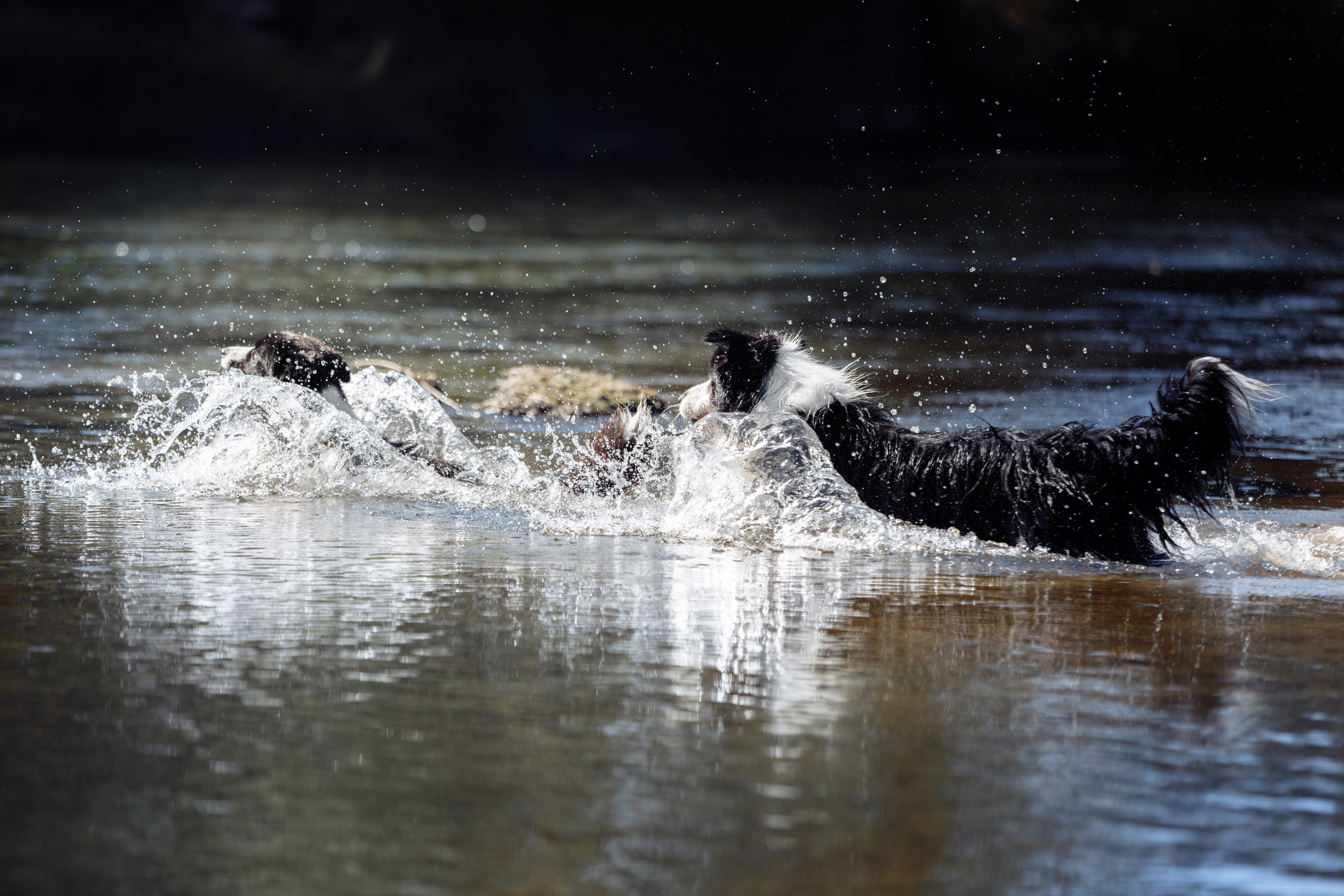 Водяные в Новотроицке. О нас