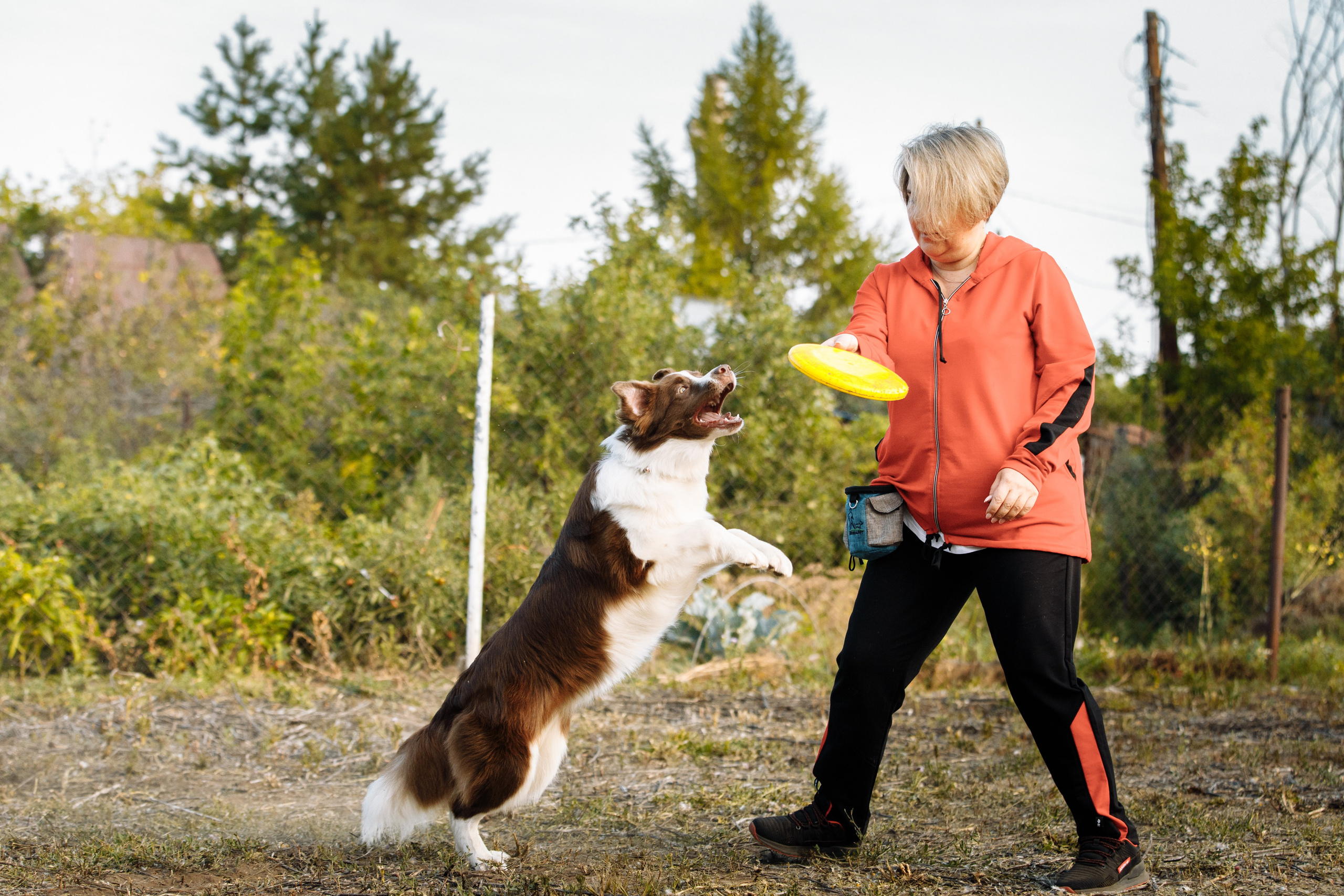 Овечий день. О нас
