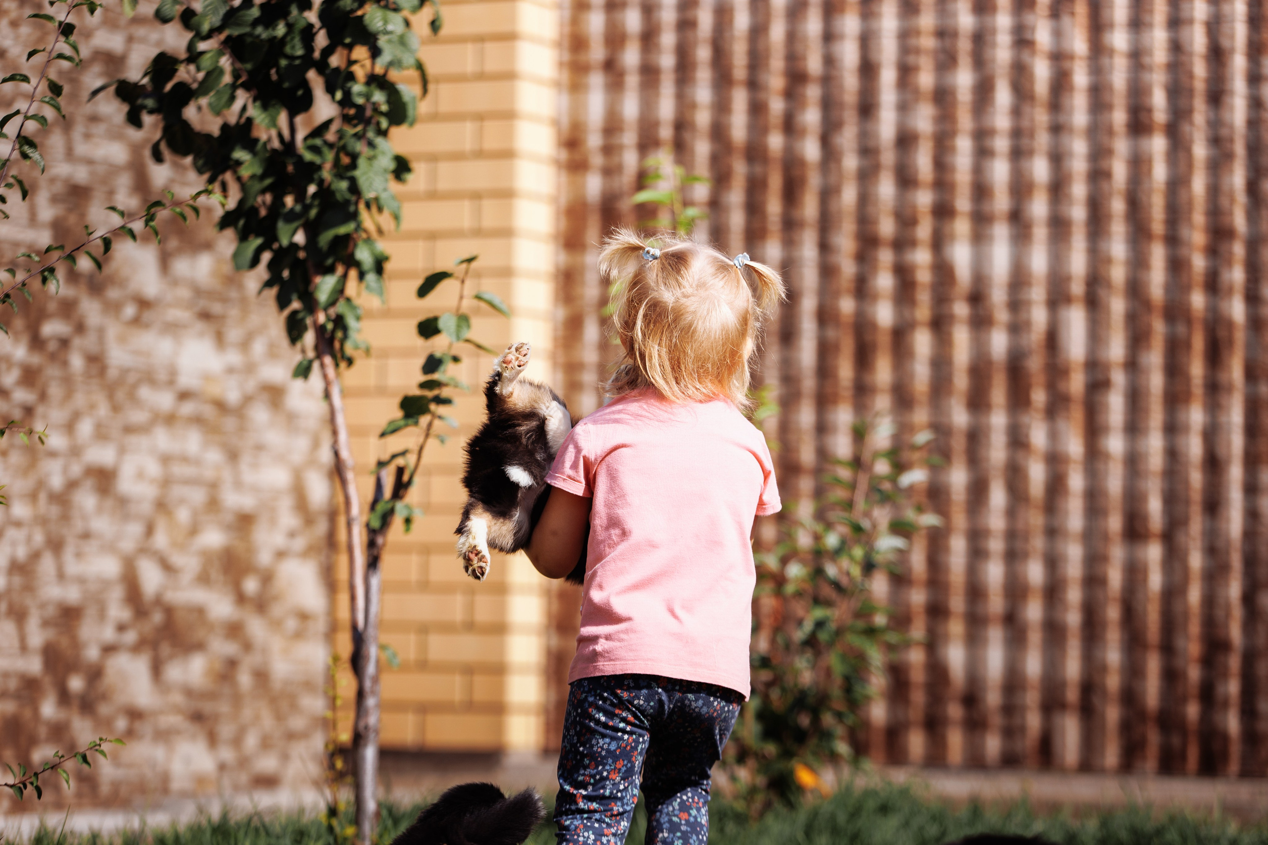 МММ — маленькое мягкое милое. О нас