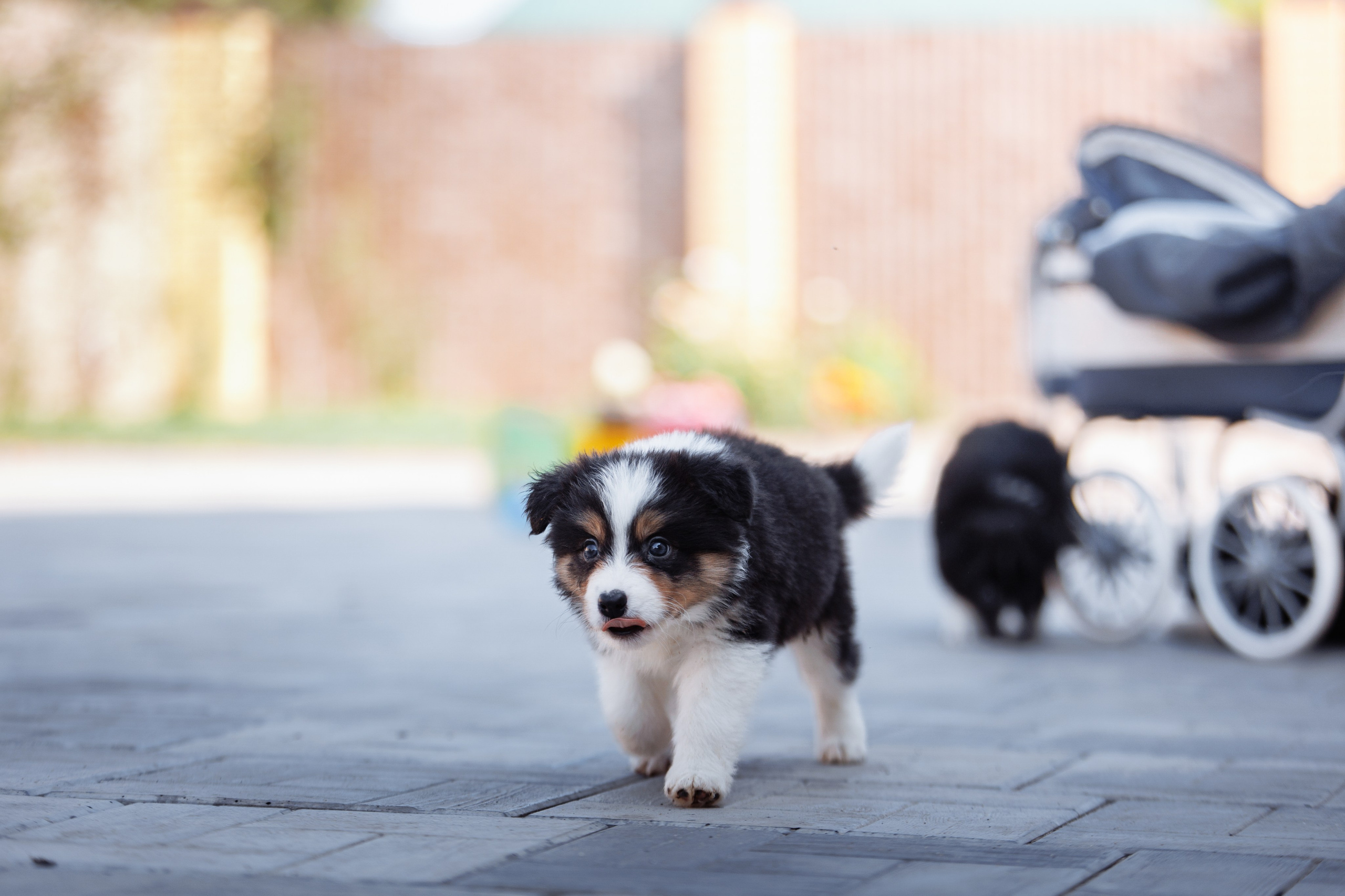 МММ — маленькое мягкое милое. О нас