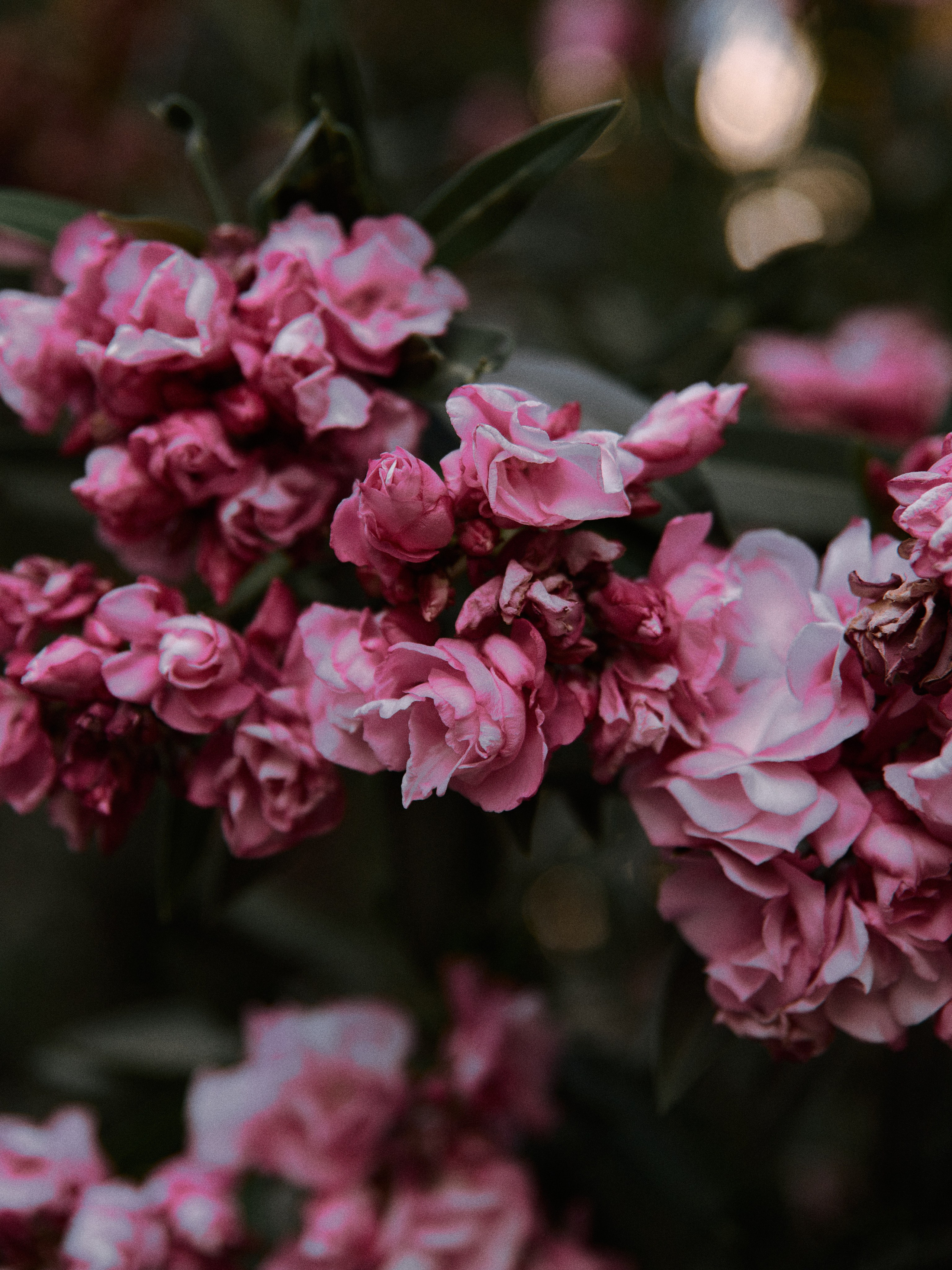 Природа. Jorgis Talè — photographer, kind person, teacher of arts and other mag