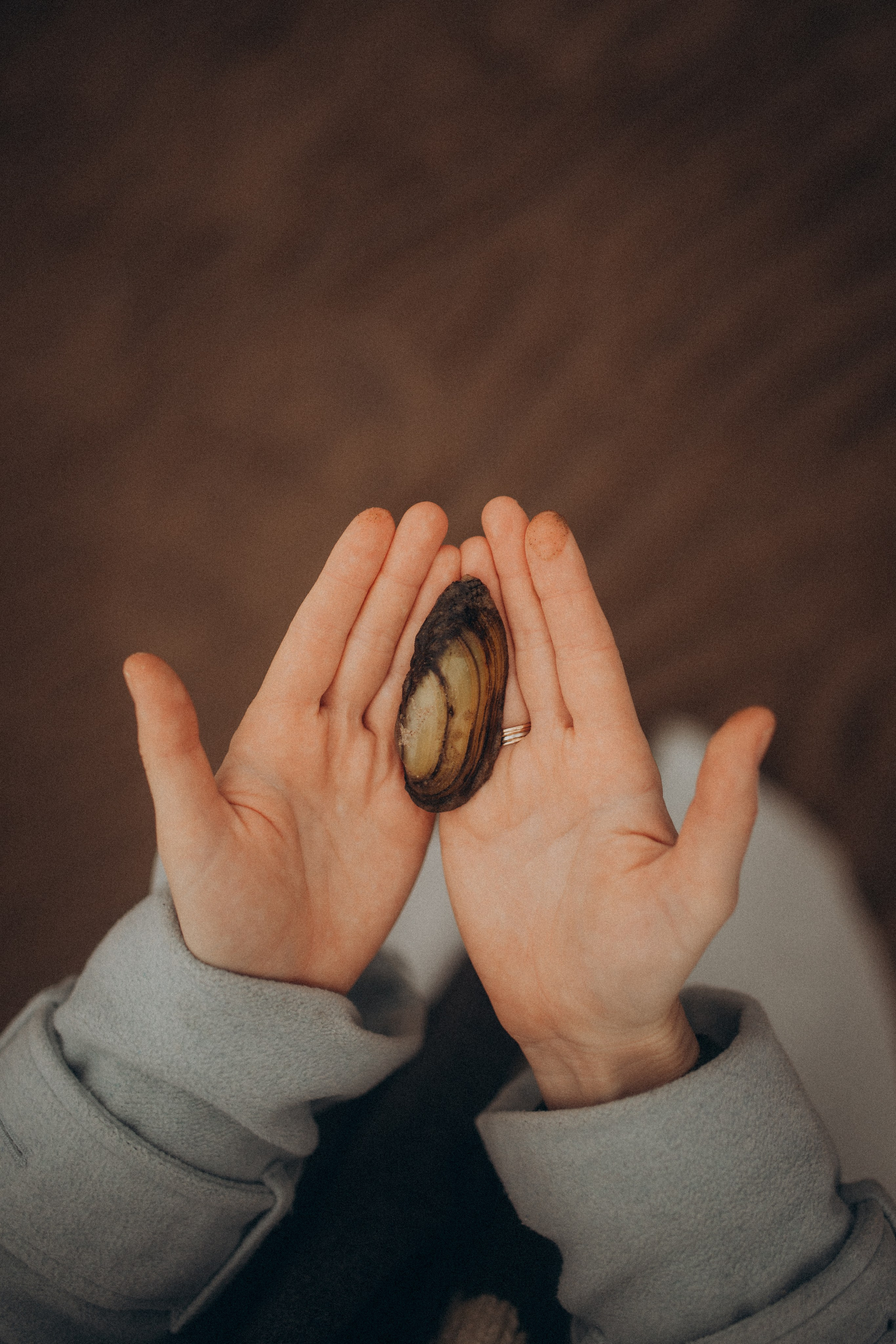 Осенний пляж. Свадебный фотограф Казань