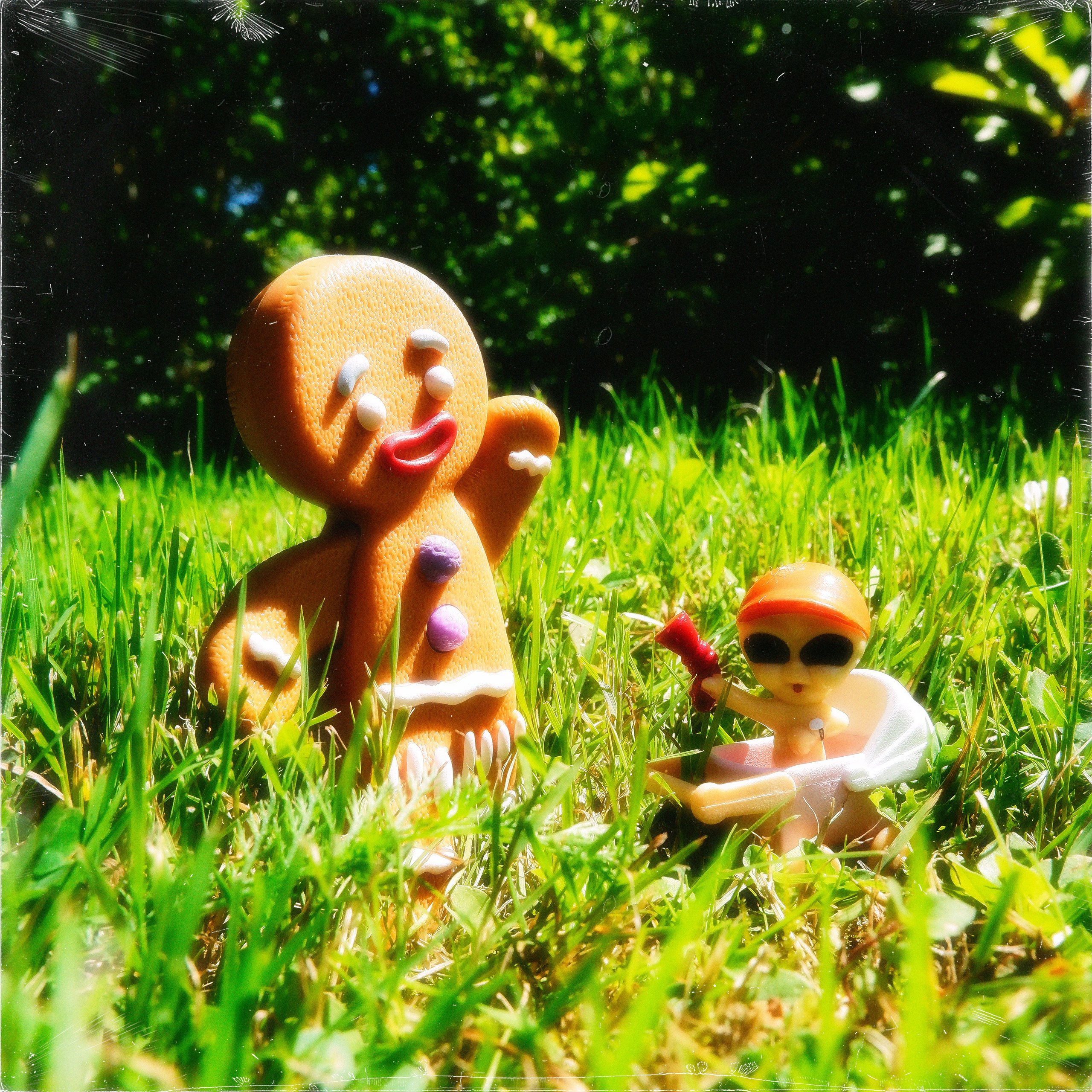 TOYS. ANNA — PHOTOGRAPHER