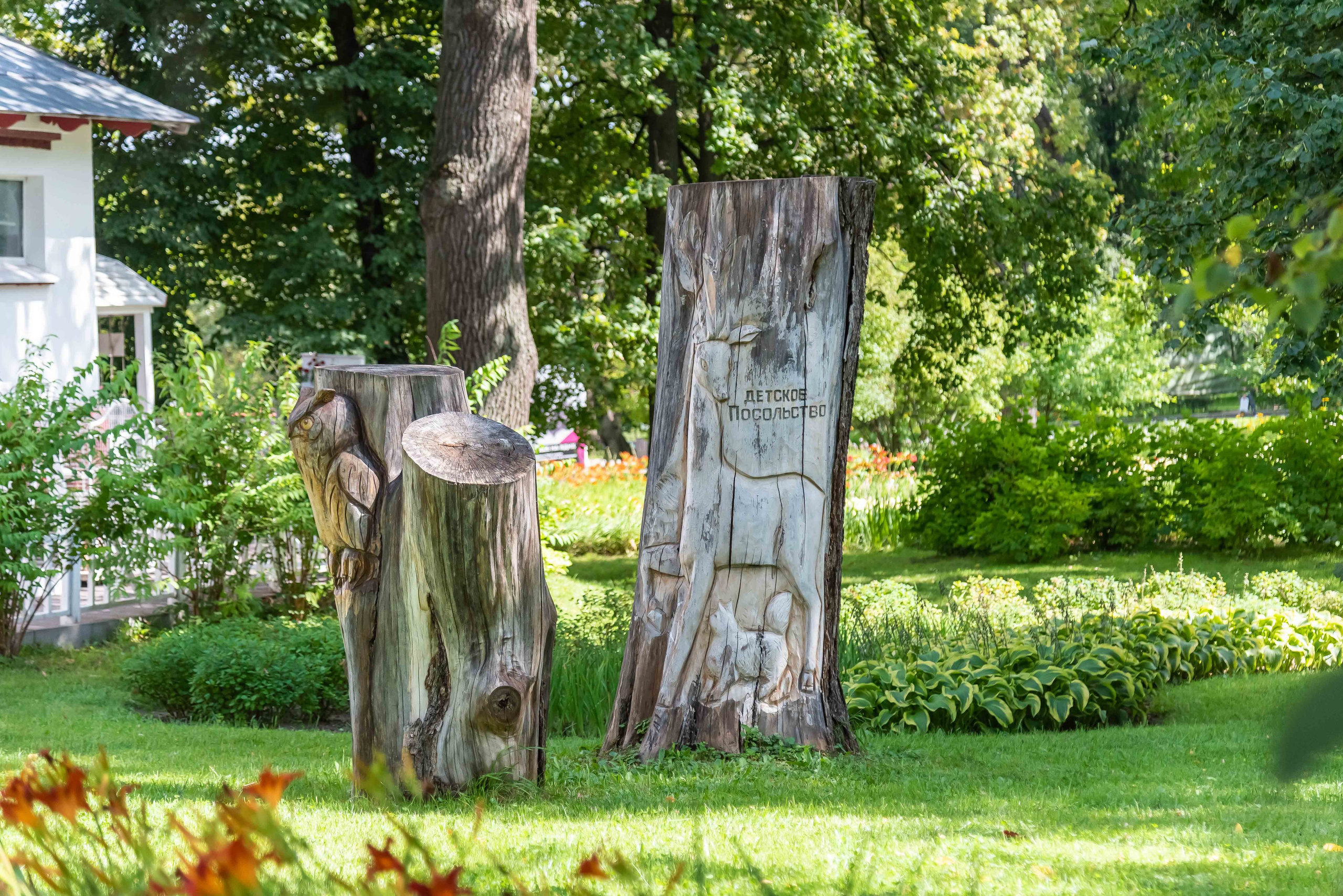 Интерьерная фотосъёмка коммерческой недвижимости для Бизнеса (для вашего сайта, для Яндекс карт и других онлайн каталогов). Интерьерный & Репортажный фотограф Озеров Денис, г. Москва