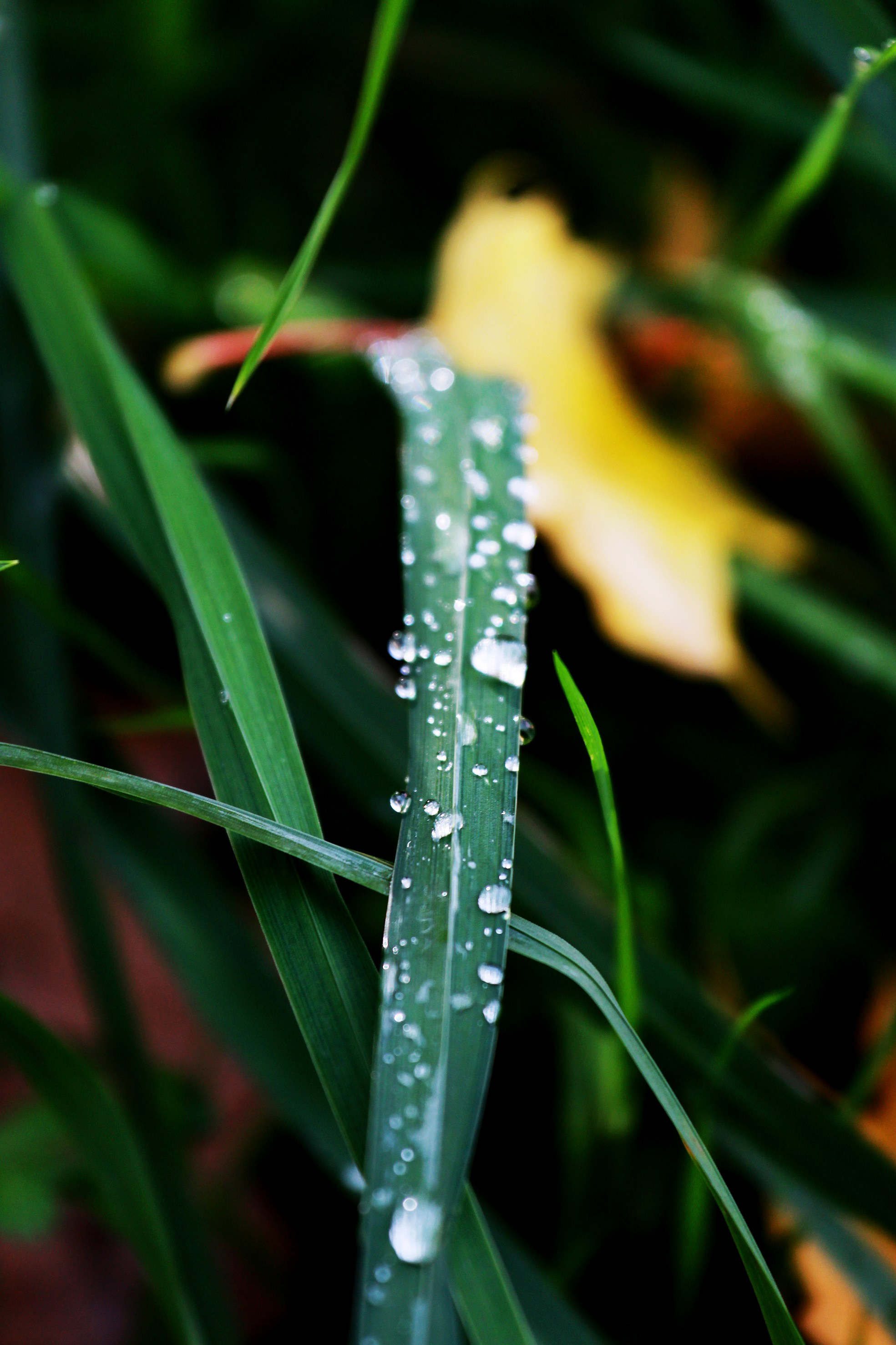 Природа. Команда фотографов Кристины Ивановой