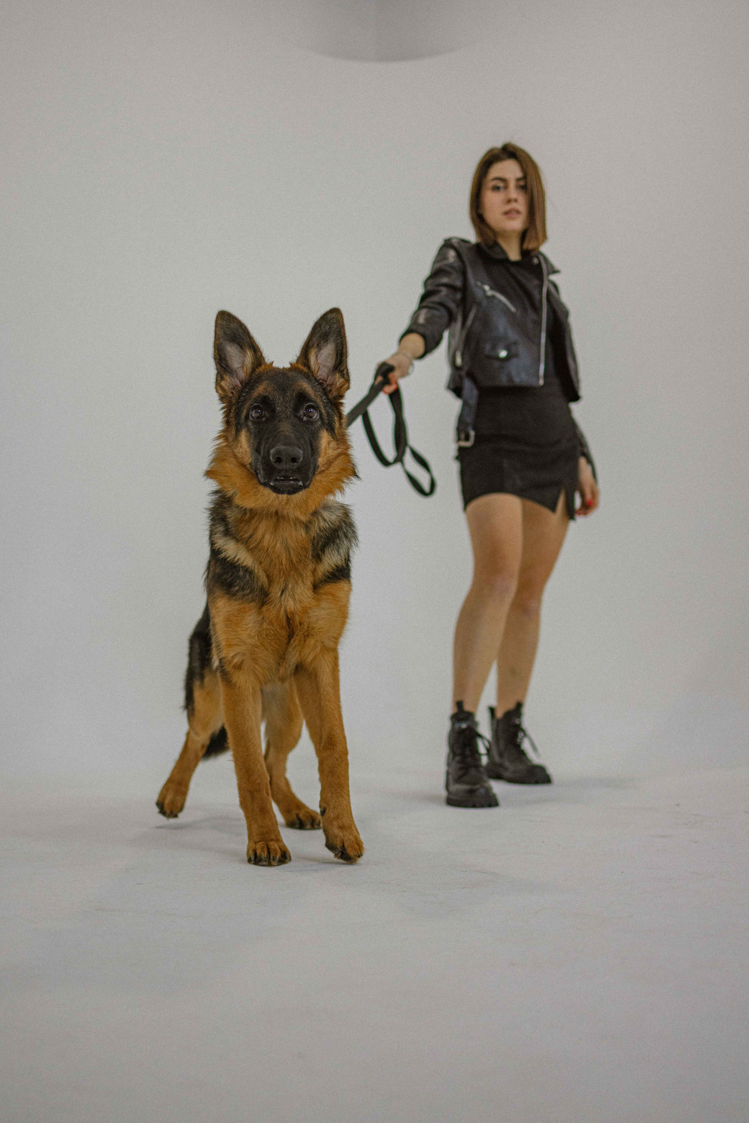 Ася и Буся. Фотограф-анималист в Москве Лера Черноног