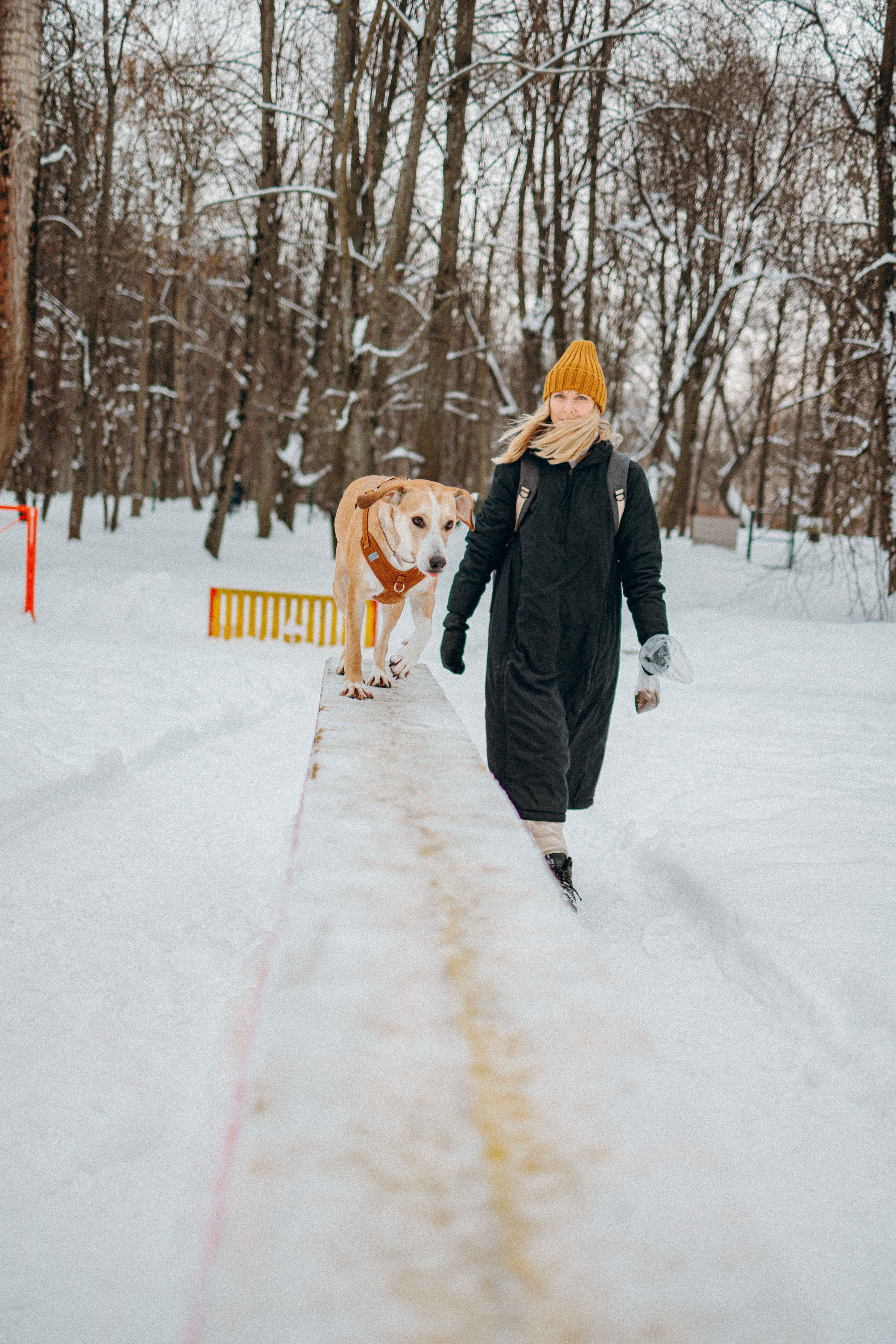 Свобода и ее семья. Фотограф-анималист в Москве Лера Черноног