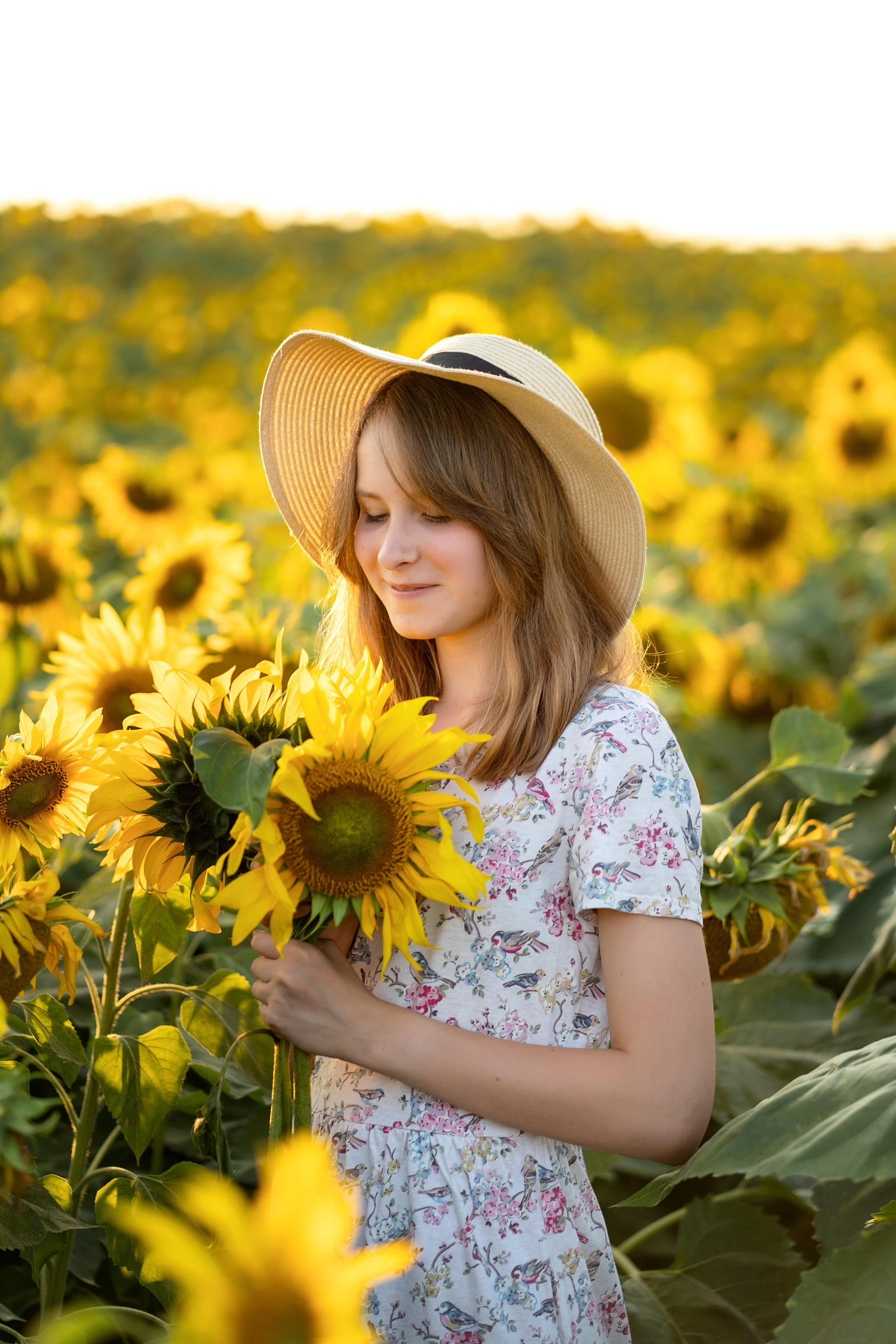 Подсолнухи. Семейный и свадебный фотограф Минск, Беларусь Анна Орловская