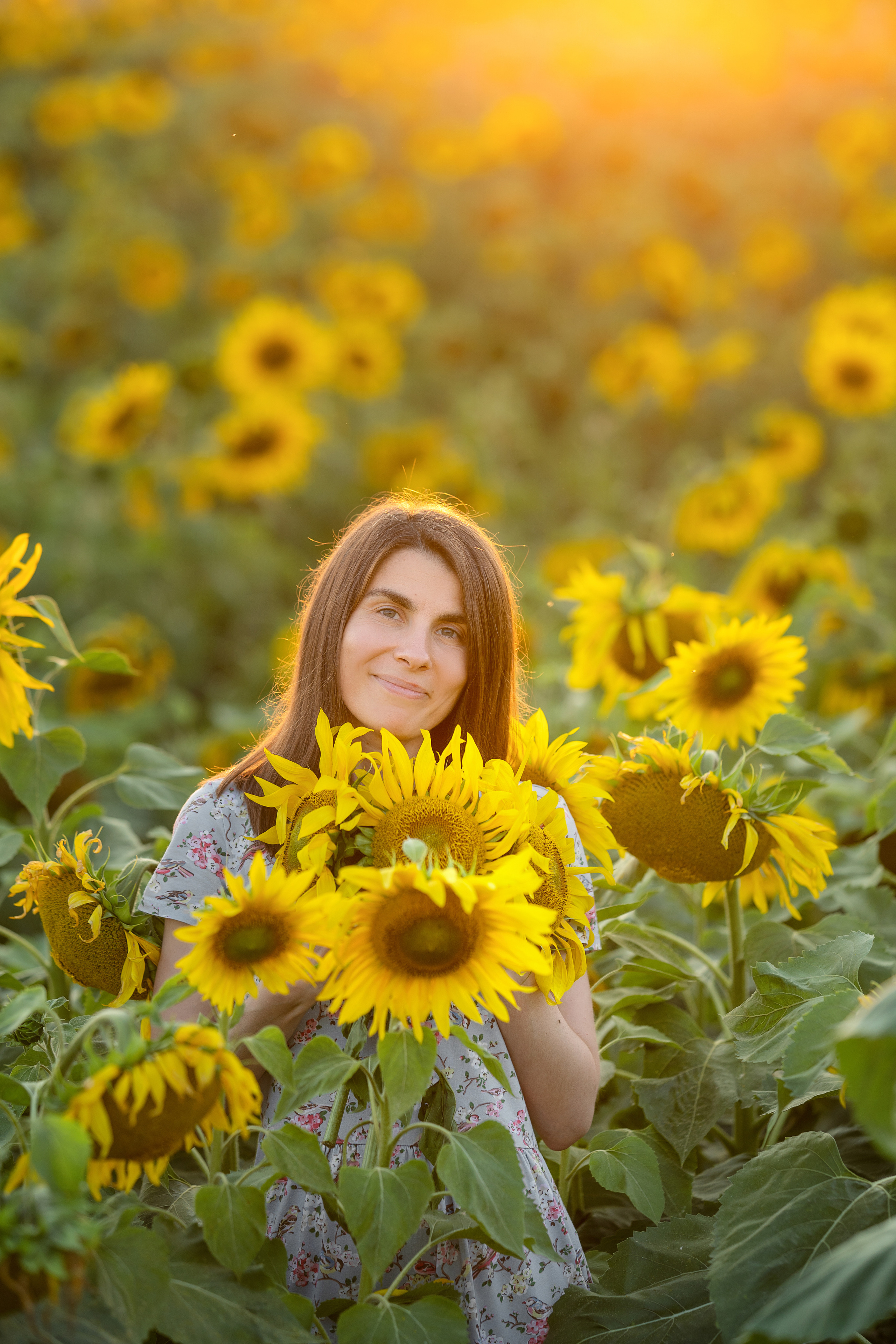 Подсолнухи. Семейный и свадебный фотограф Минск, Беларусь Анна Орловская