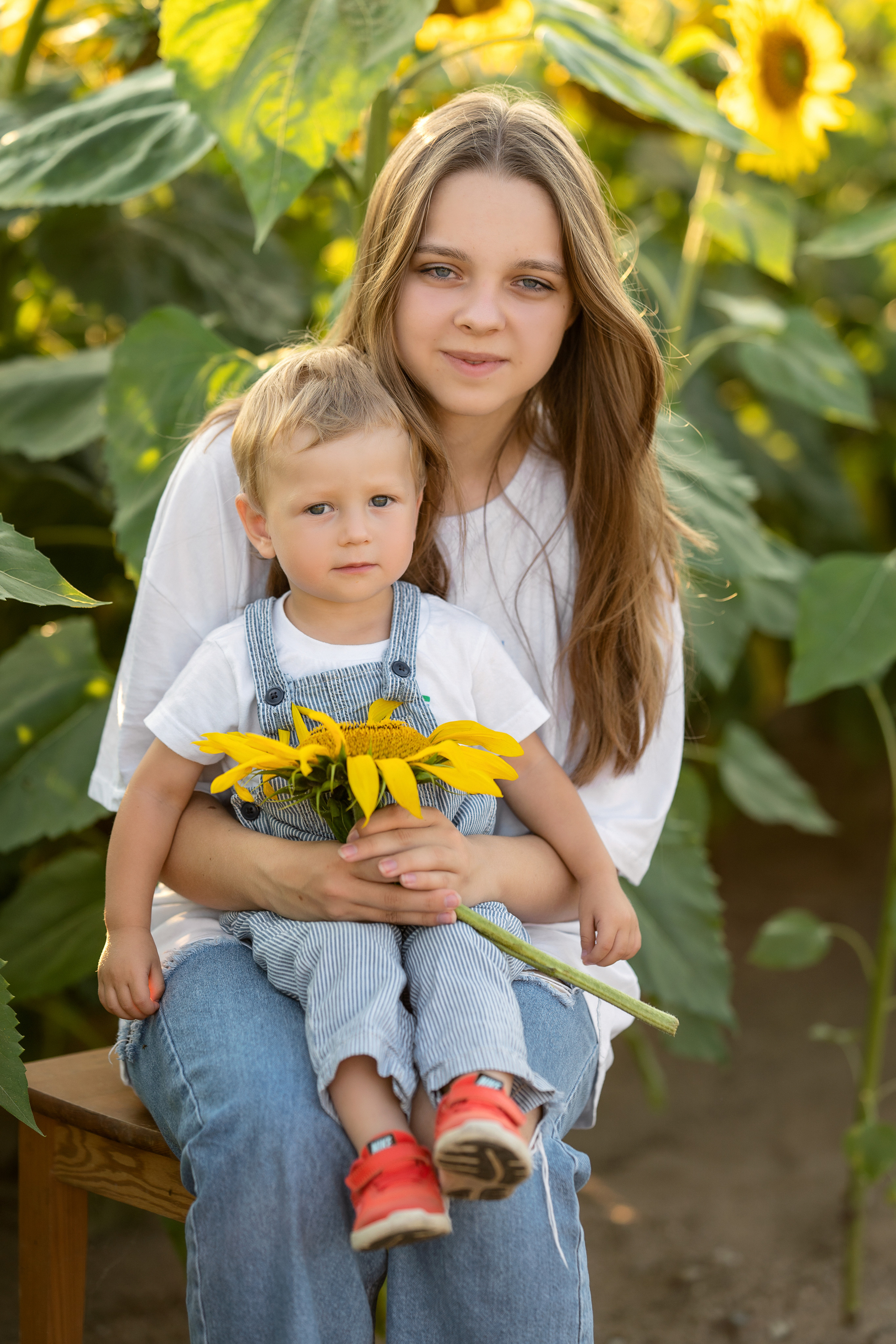 Подсолнухи. Семейный и свадебный фотограф Минск, Беларусь Анна Орловская