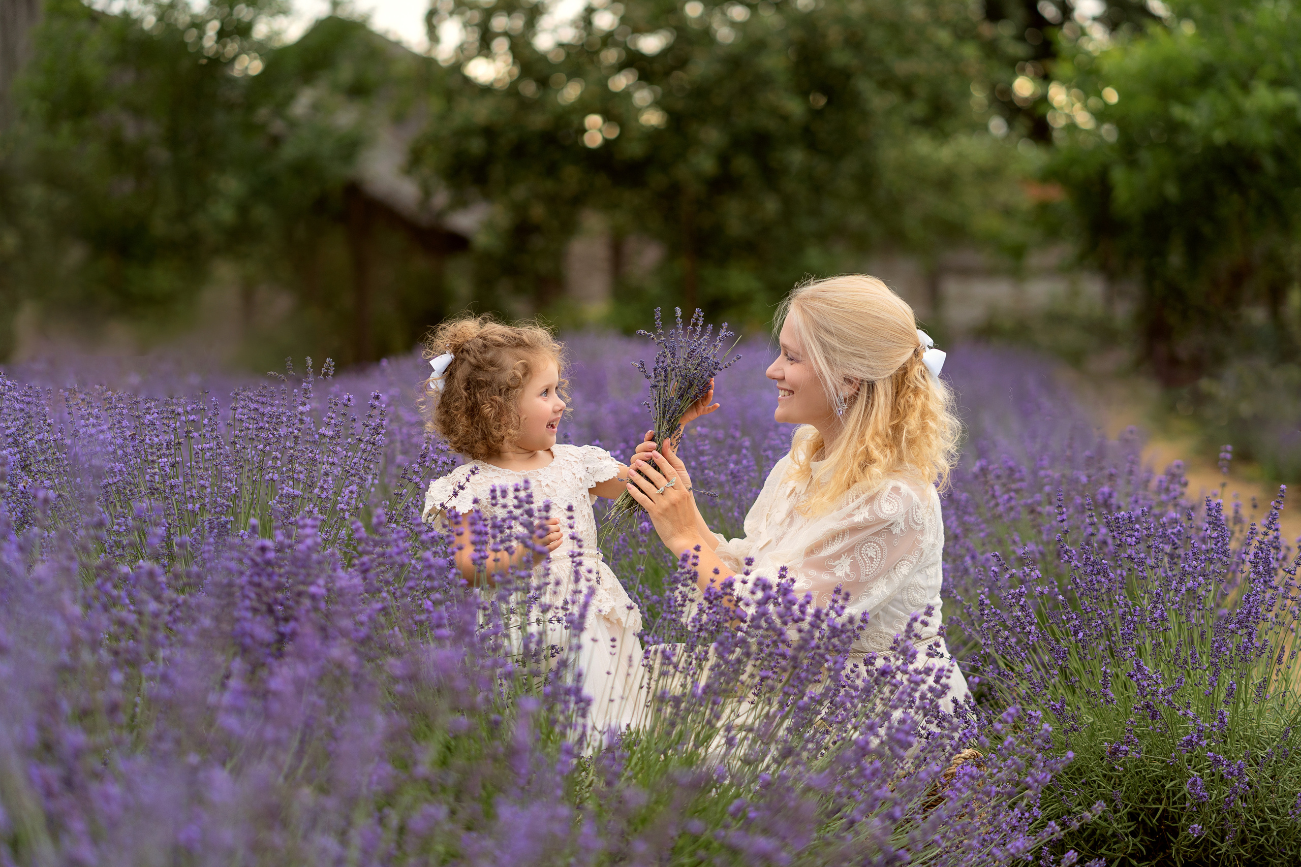 Лаванда. Семейный и свадебный фотограф Минск, Беларусь Анна Орловская