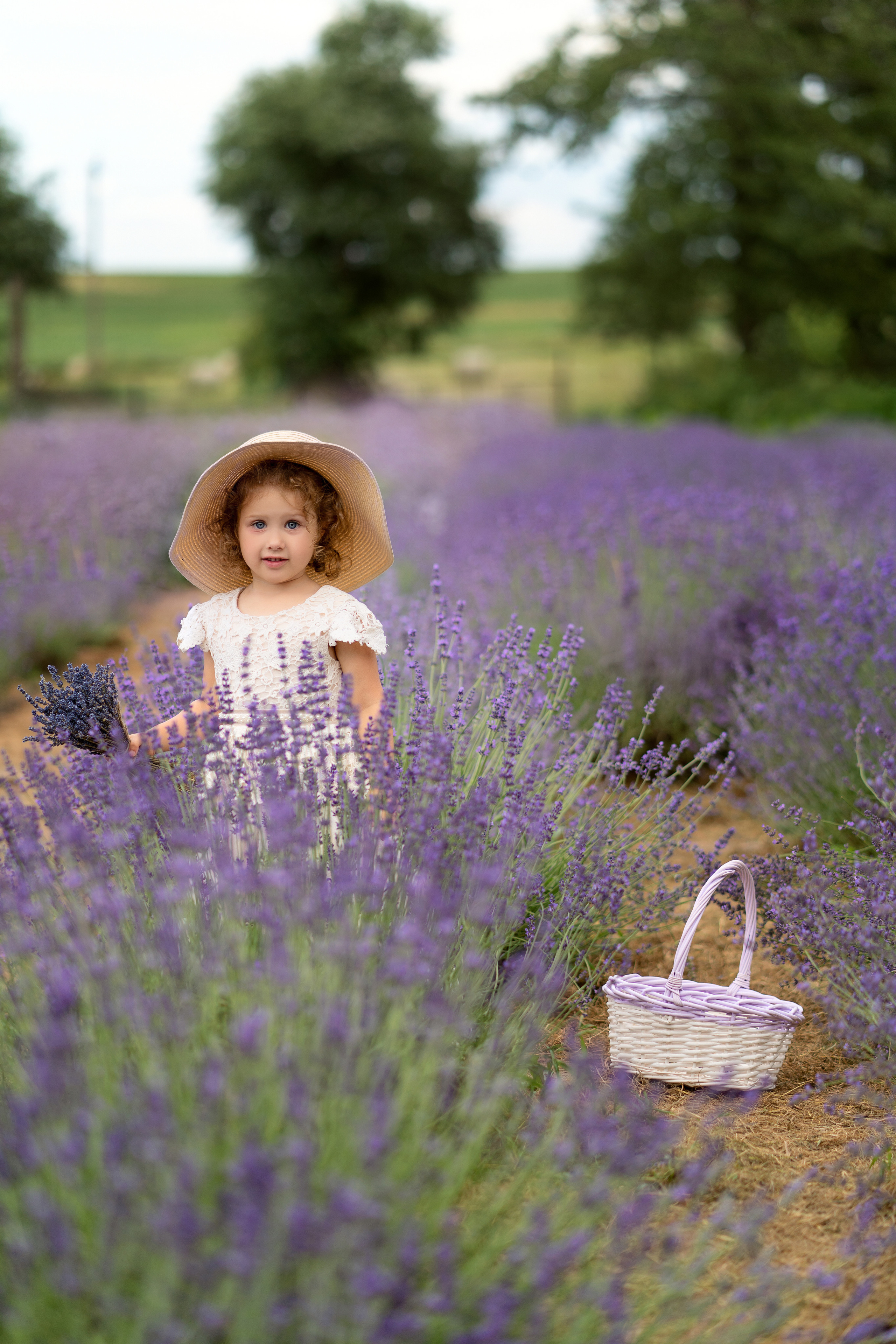 Лаванда. Семейный и свадебный фотограф Минск, Беларусь Анна Орловская