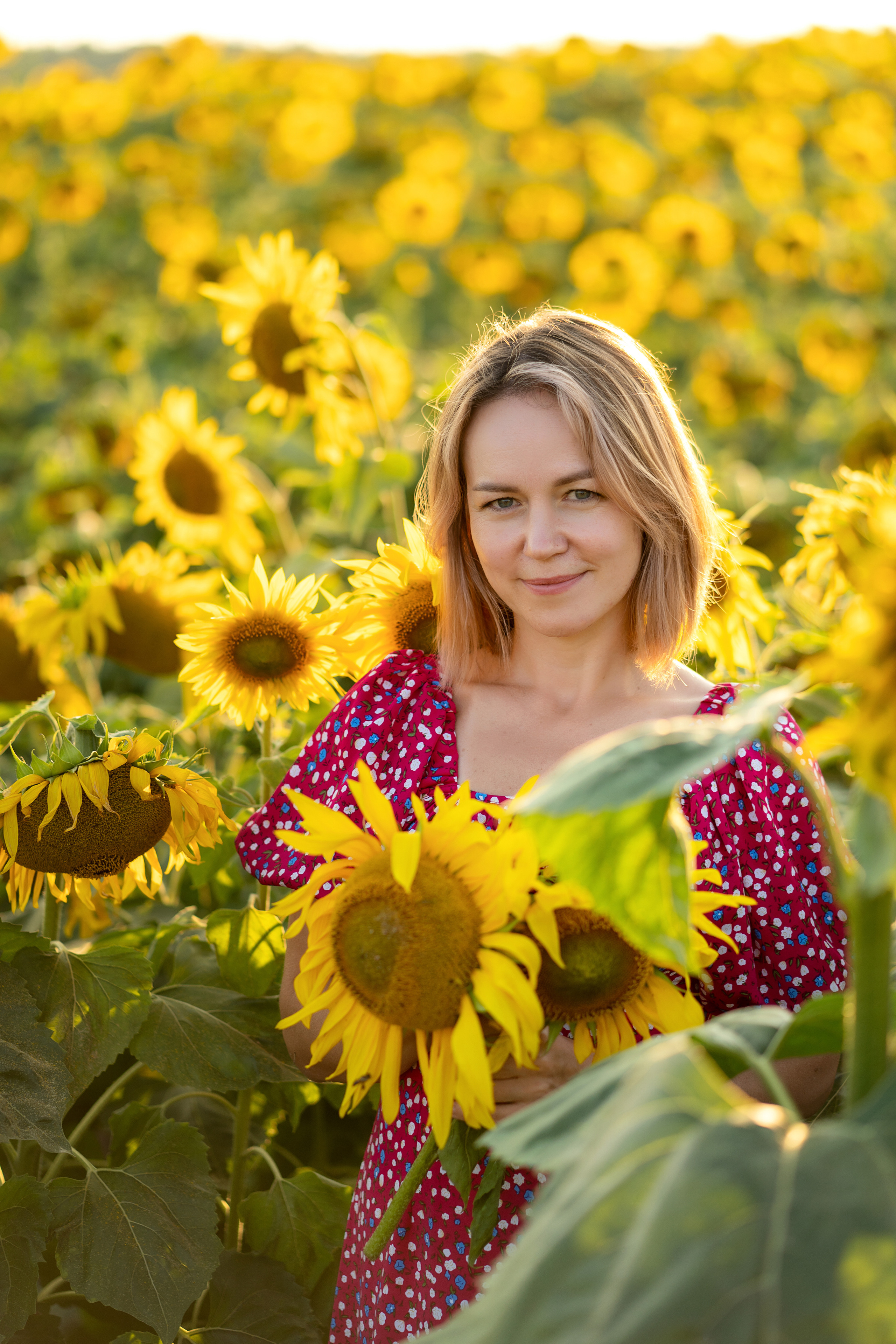 Подсолнухи. Семейный и свадебный фотограф Минск, Беларусь Анна Орловская