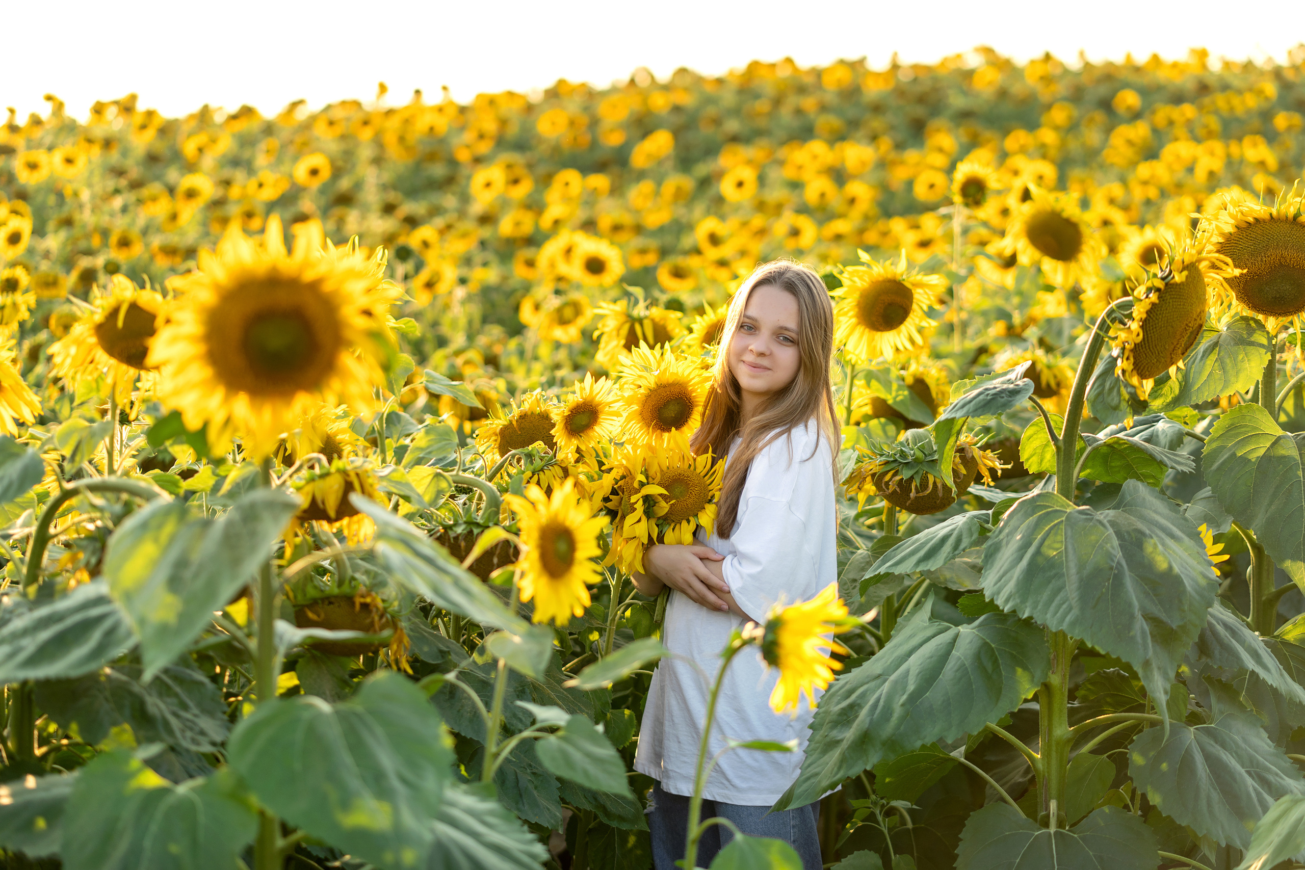 Подсолнухи. Семейный и свадебный фотограф Минск, Беларусь Анна Орловская