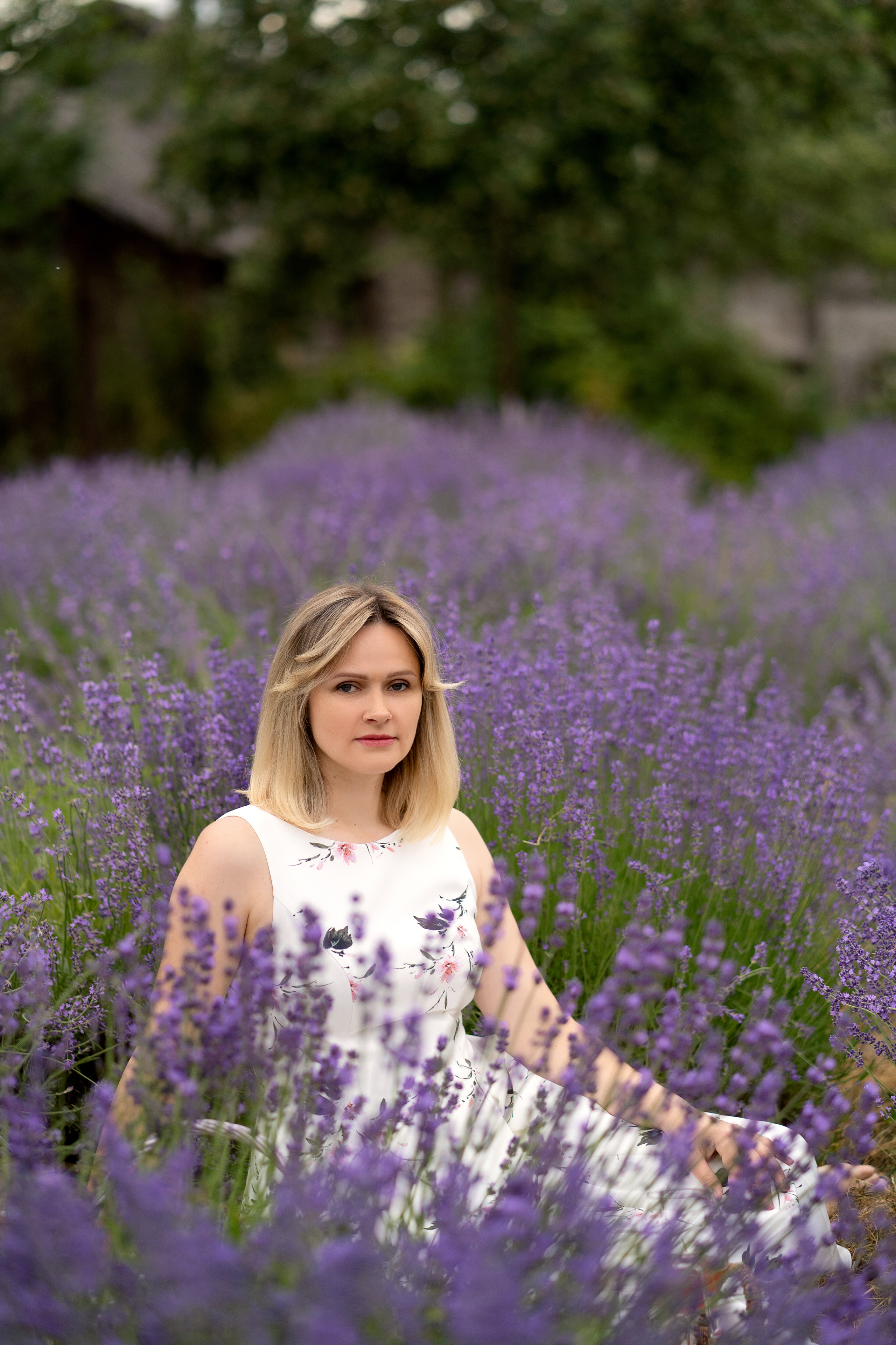 Фотодень в лаванде. Семейный и свадебный фотограф Минск, Беларусь Анна Орловская