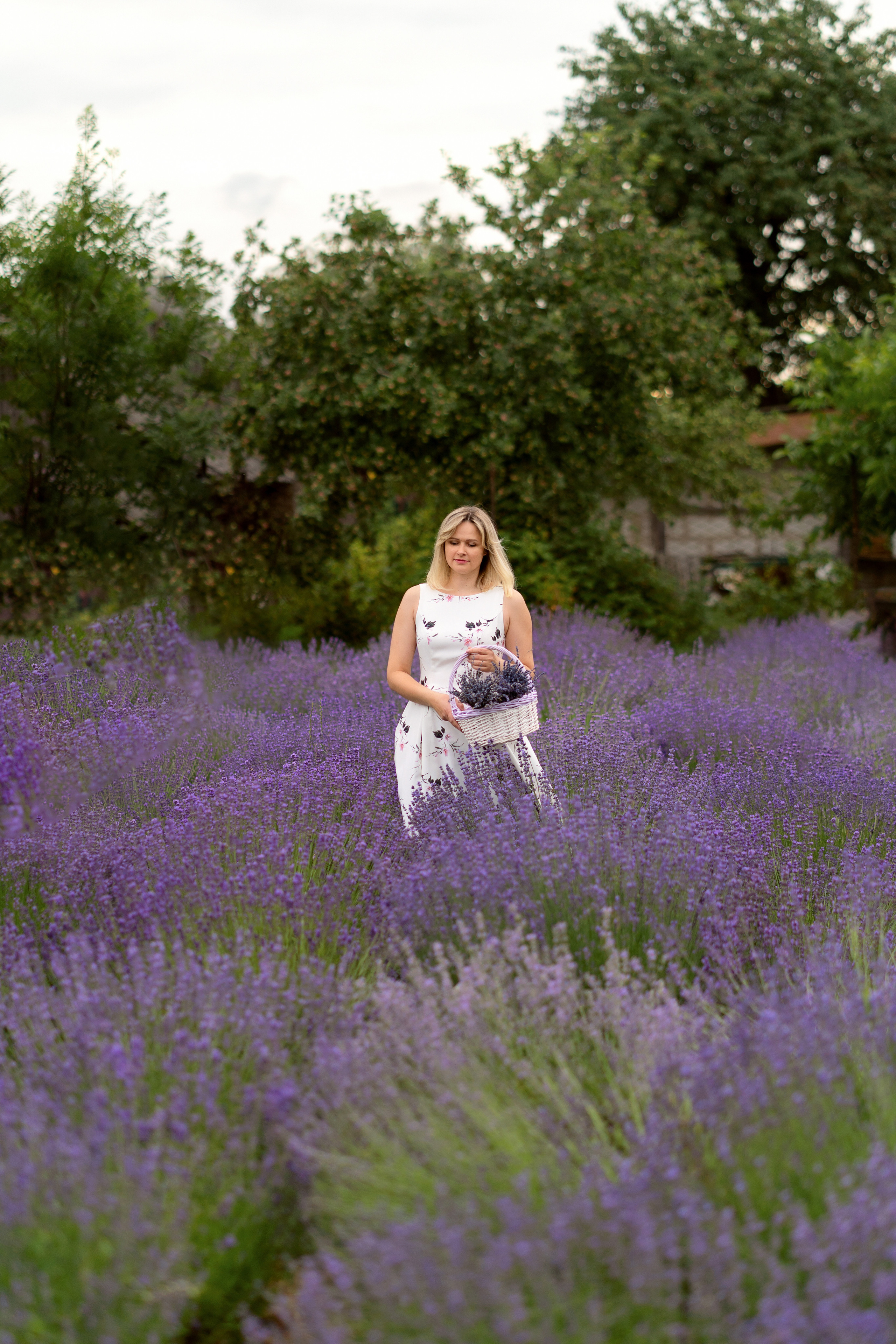 Фотодень в лаванде. Семейный и свадебный фотограф Минск, Беларусь Анна Орловская