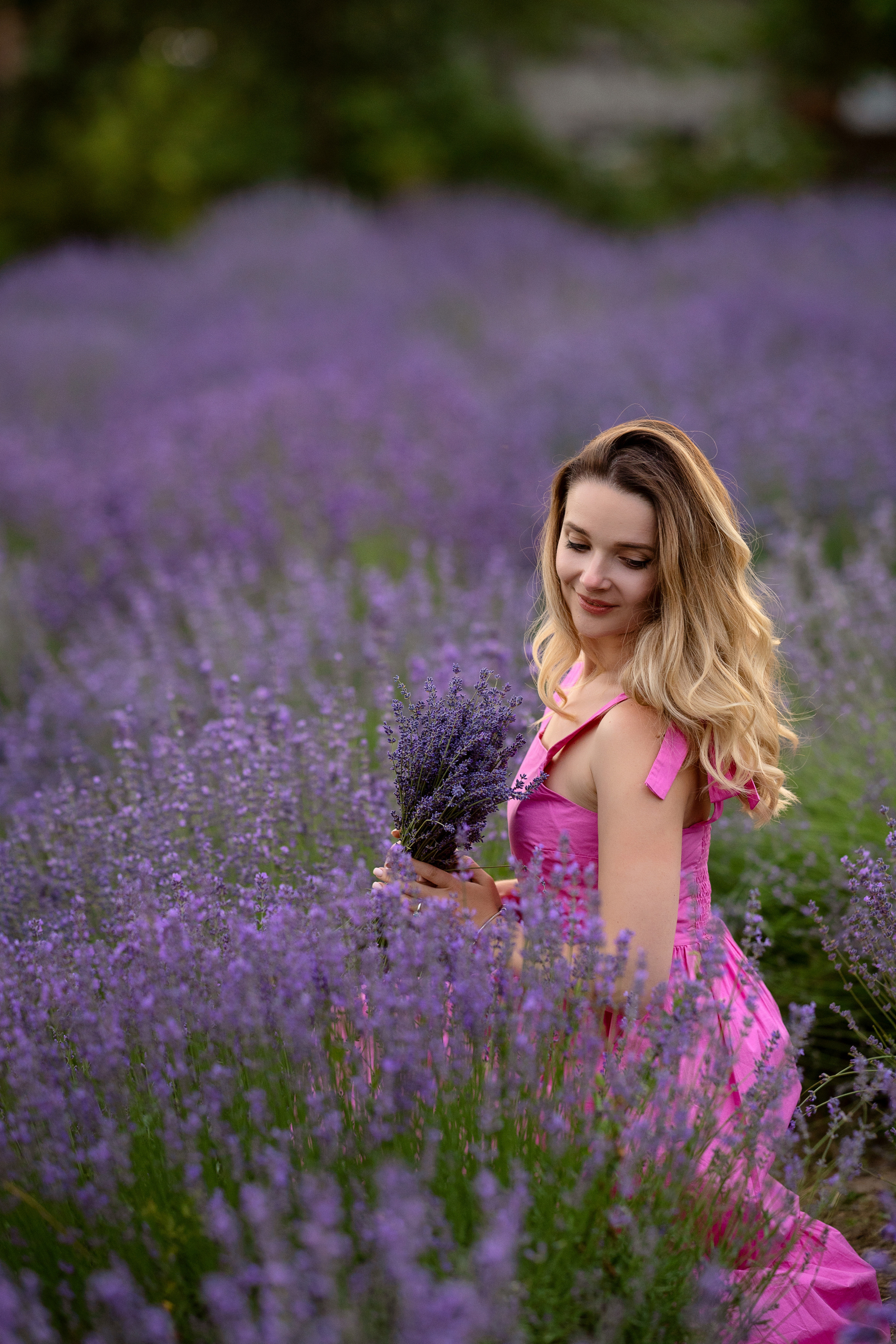 Фотодень в лаванде. Семейный и свадебный фотограф Минск, Беларусь Анна Орловская